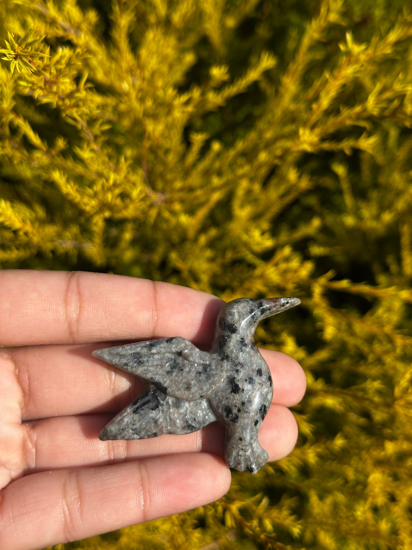 Yooperlite hummingbirds