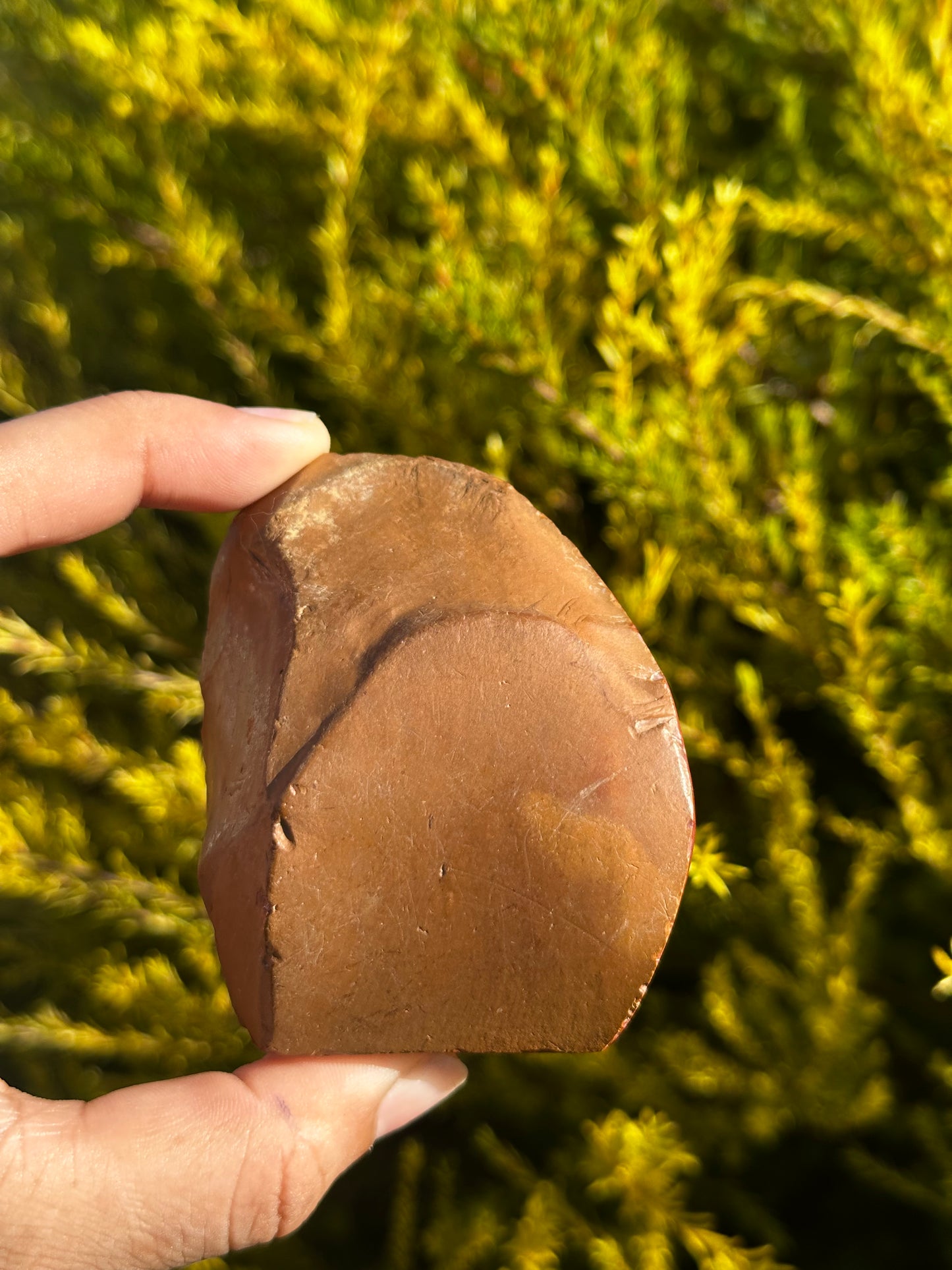 Polychrome Jasper cut base