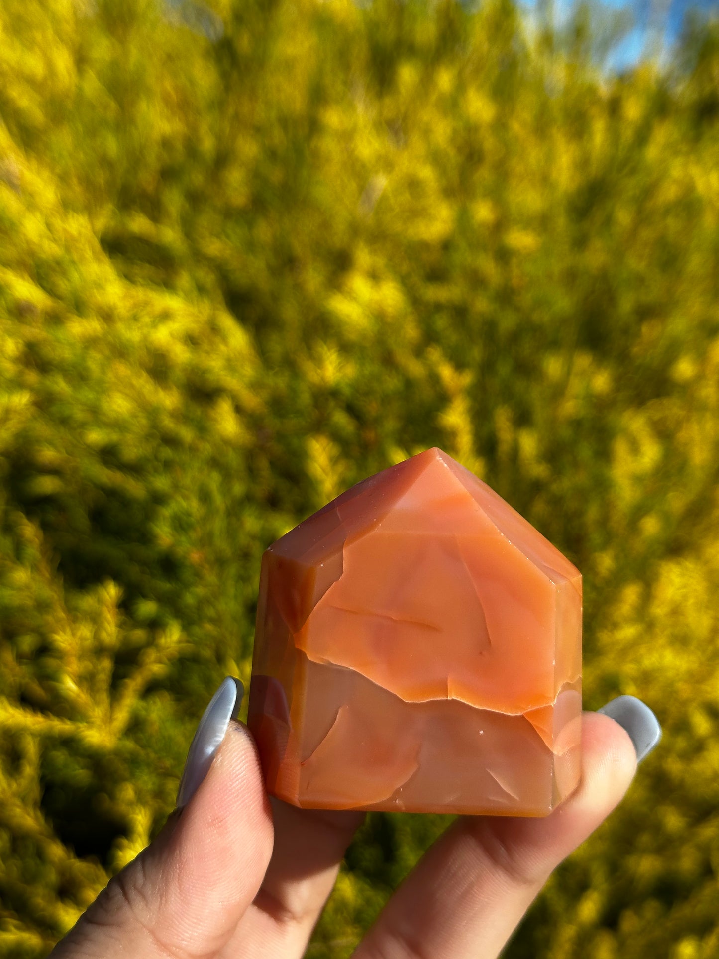 Small Carnelian towers
