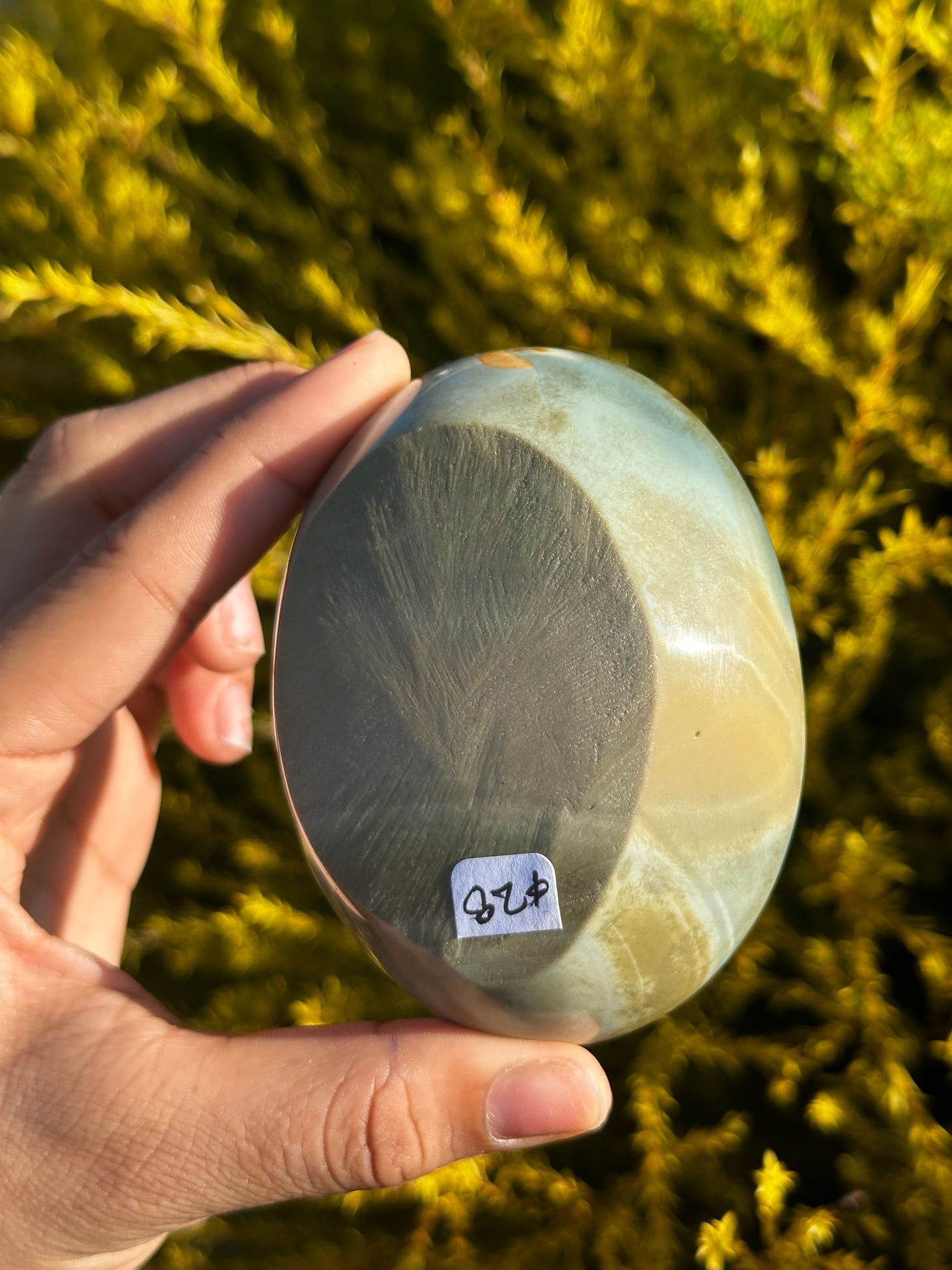 Polychrome Japser bowl
