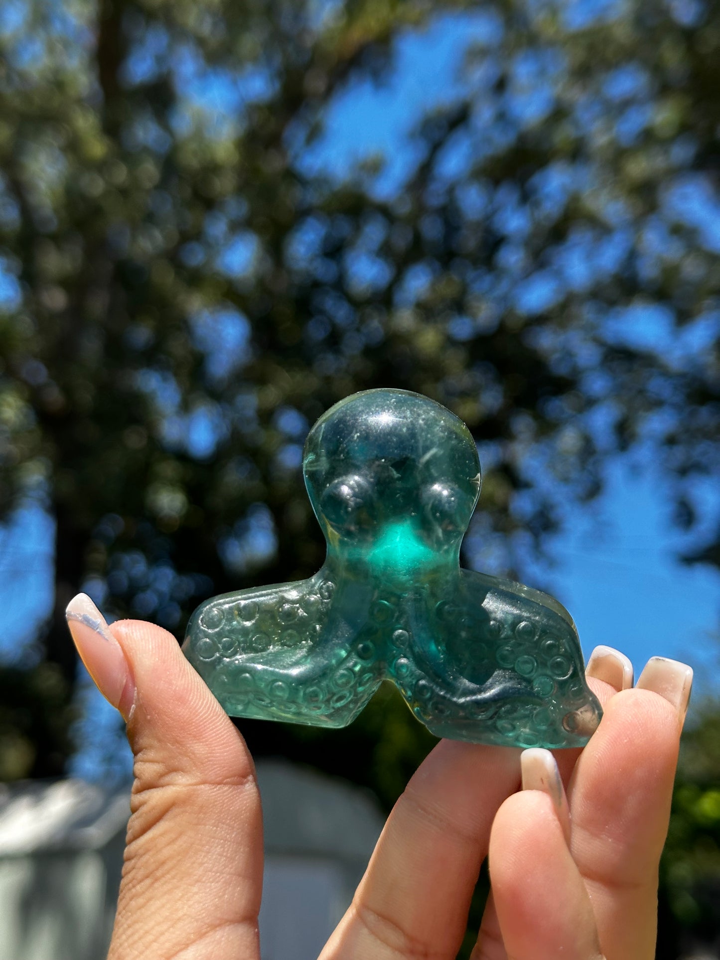 Fluorite octopuses