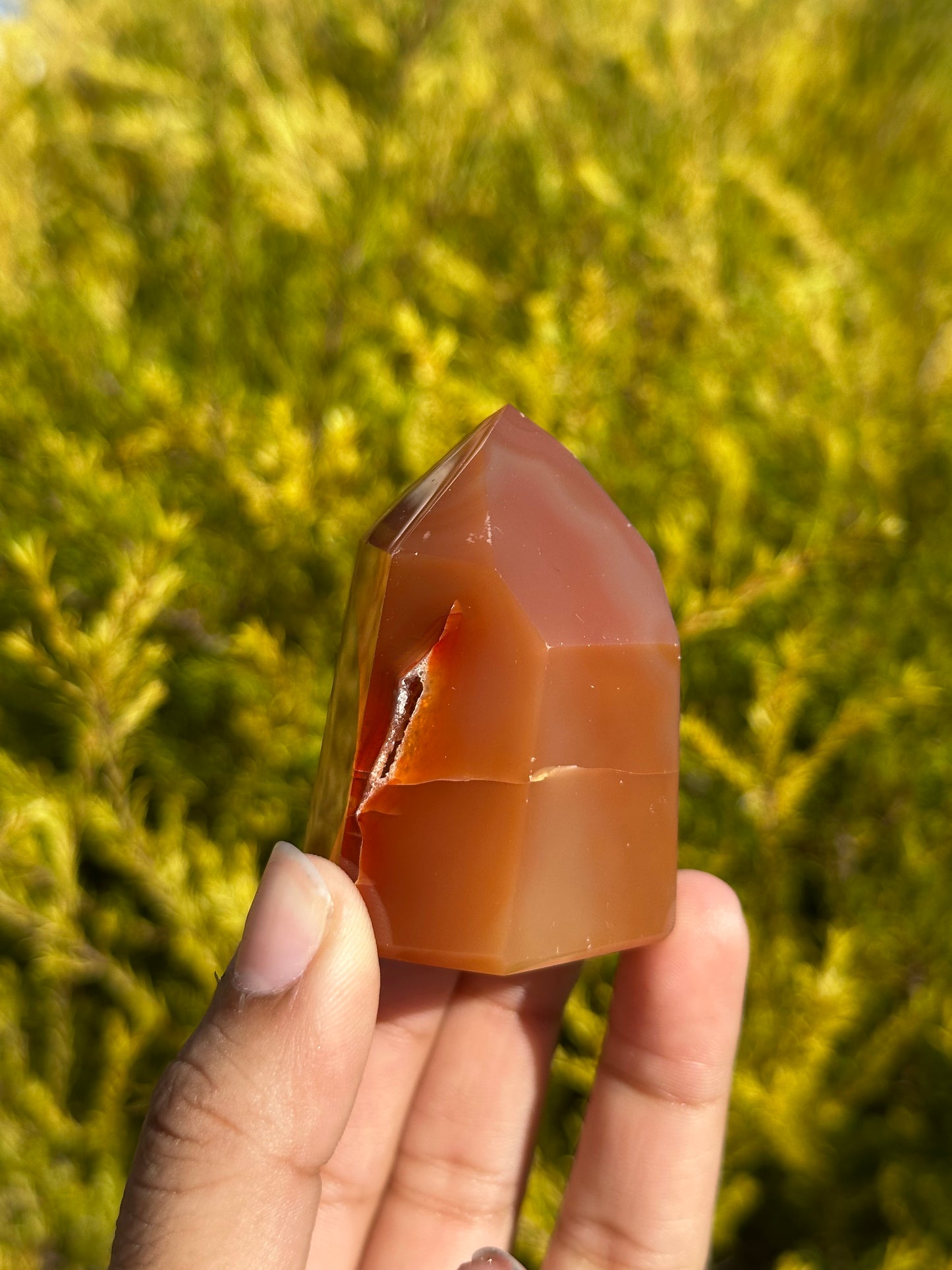 Carnelian tower