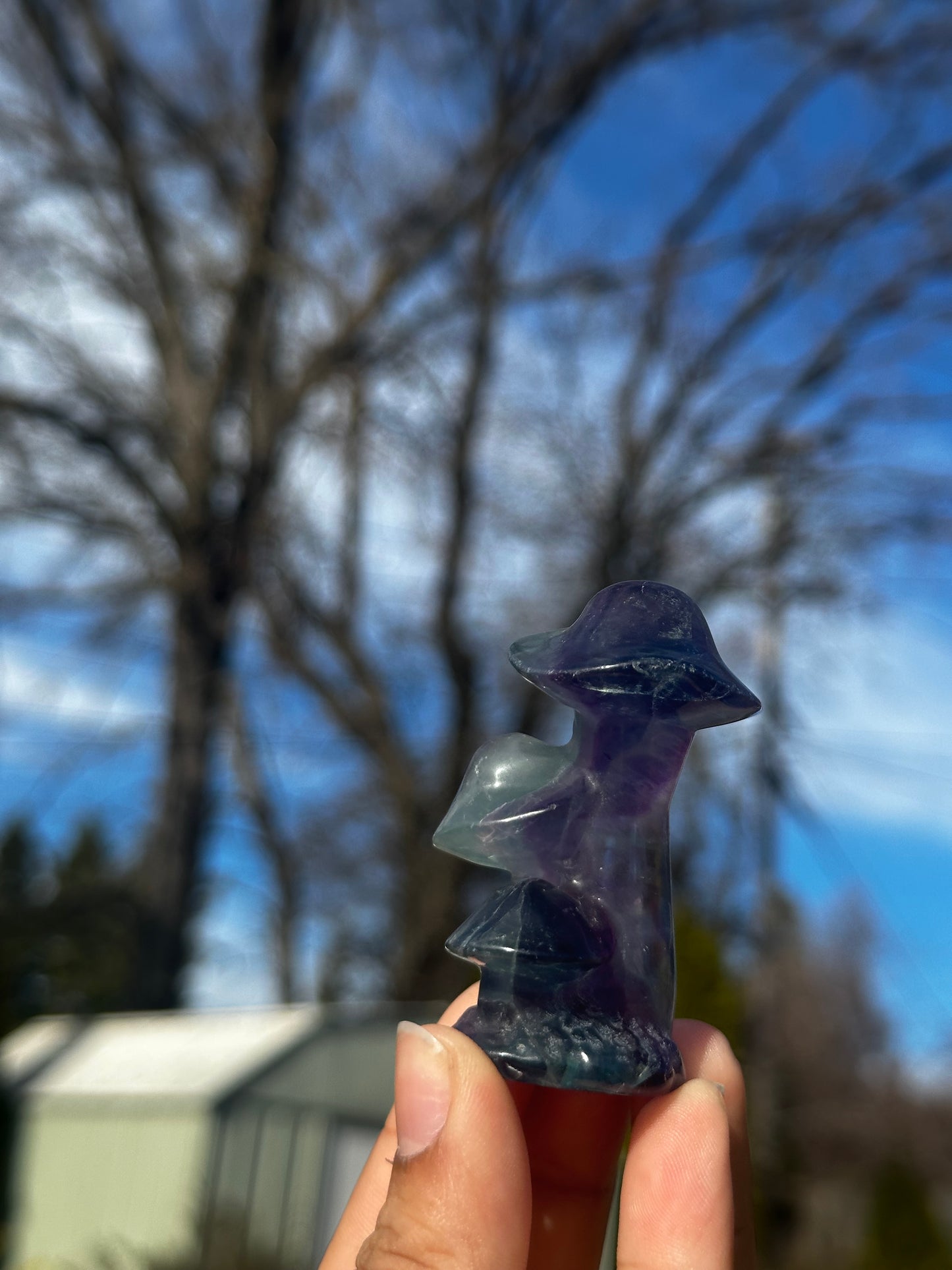 Fluorite mushrooms