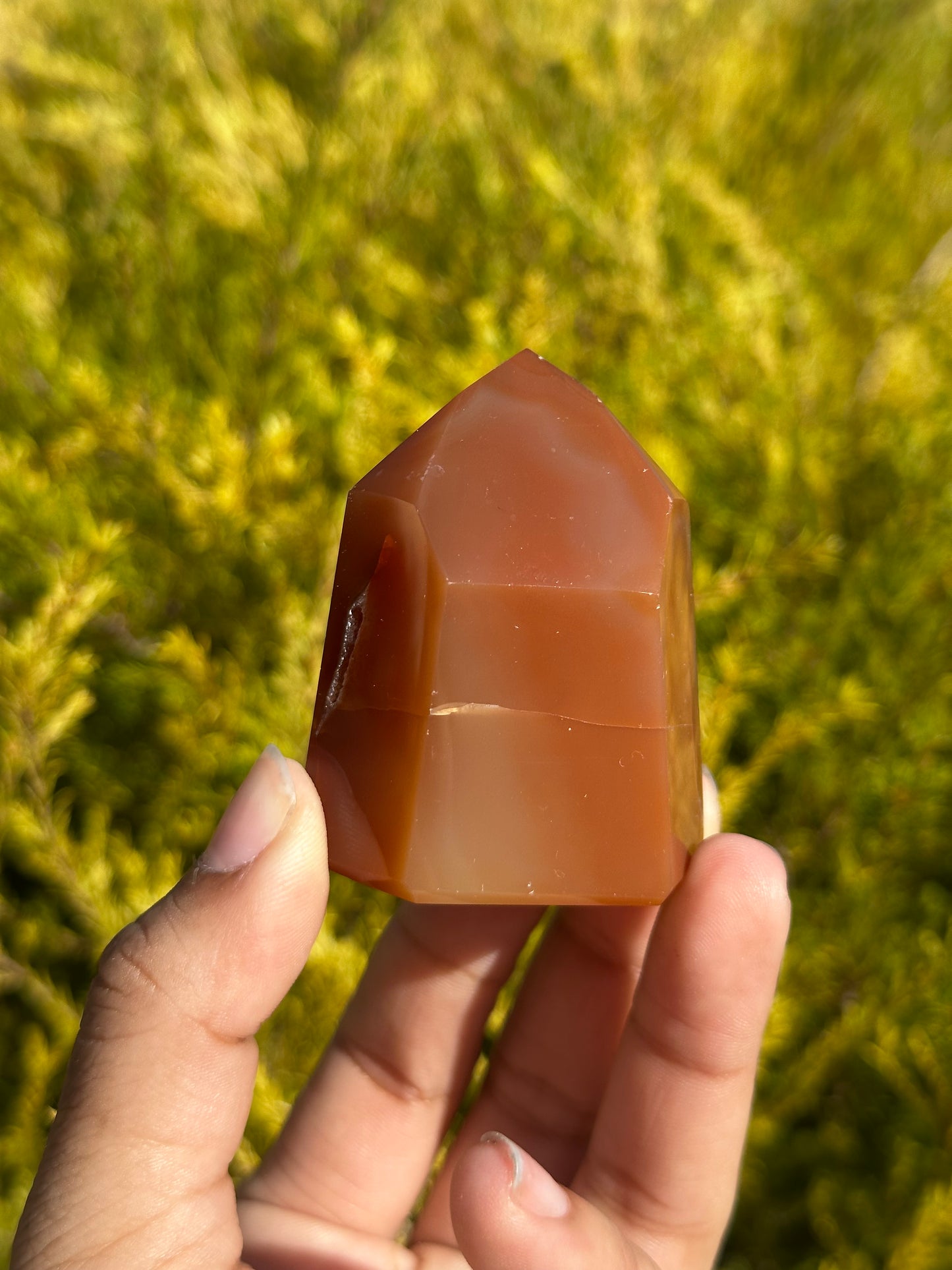 Carnelian tower