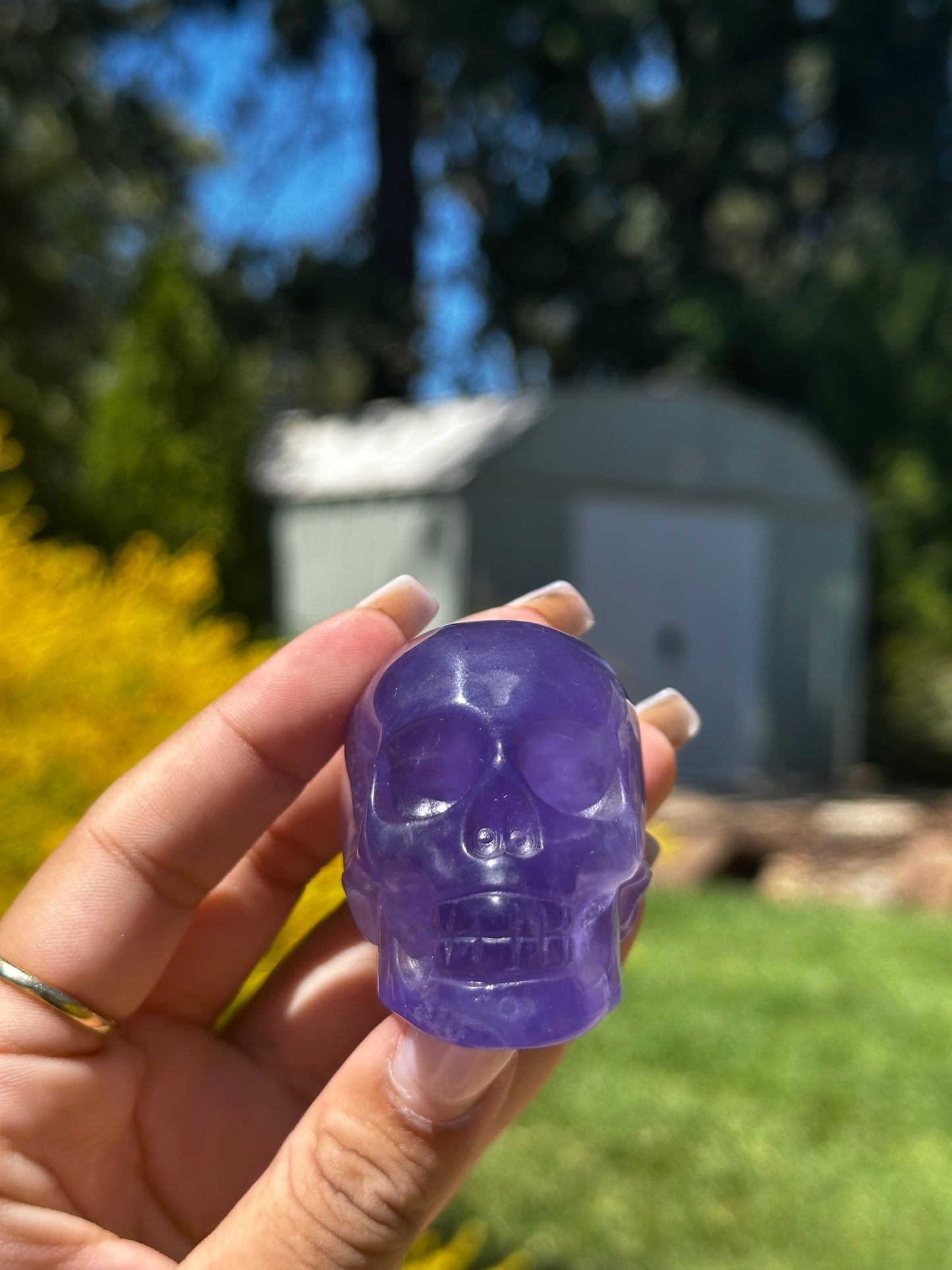 Fluorite Skulls
