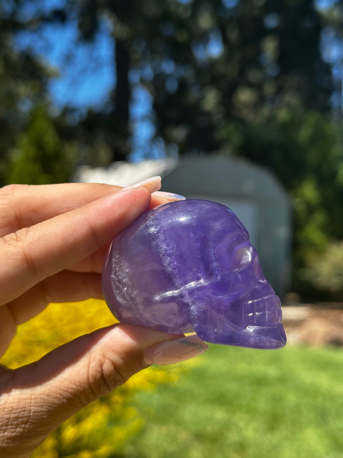Fluorite Skulls