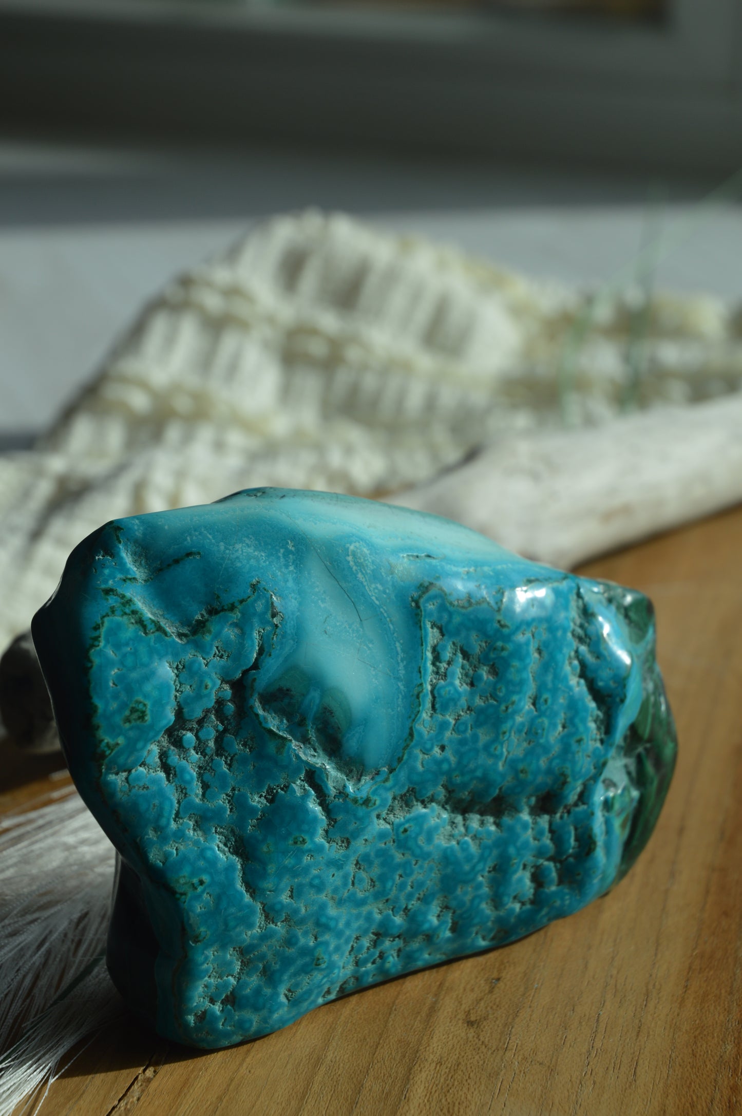 Large Malacholla Chunks