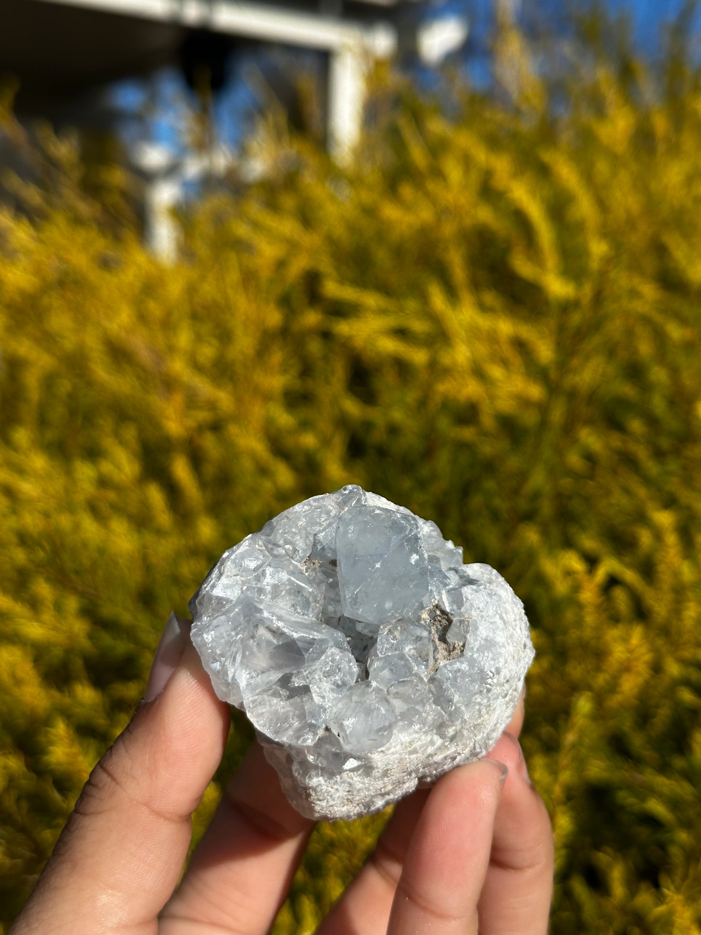 Celesite pieces