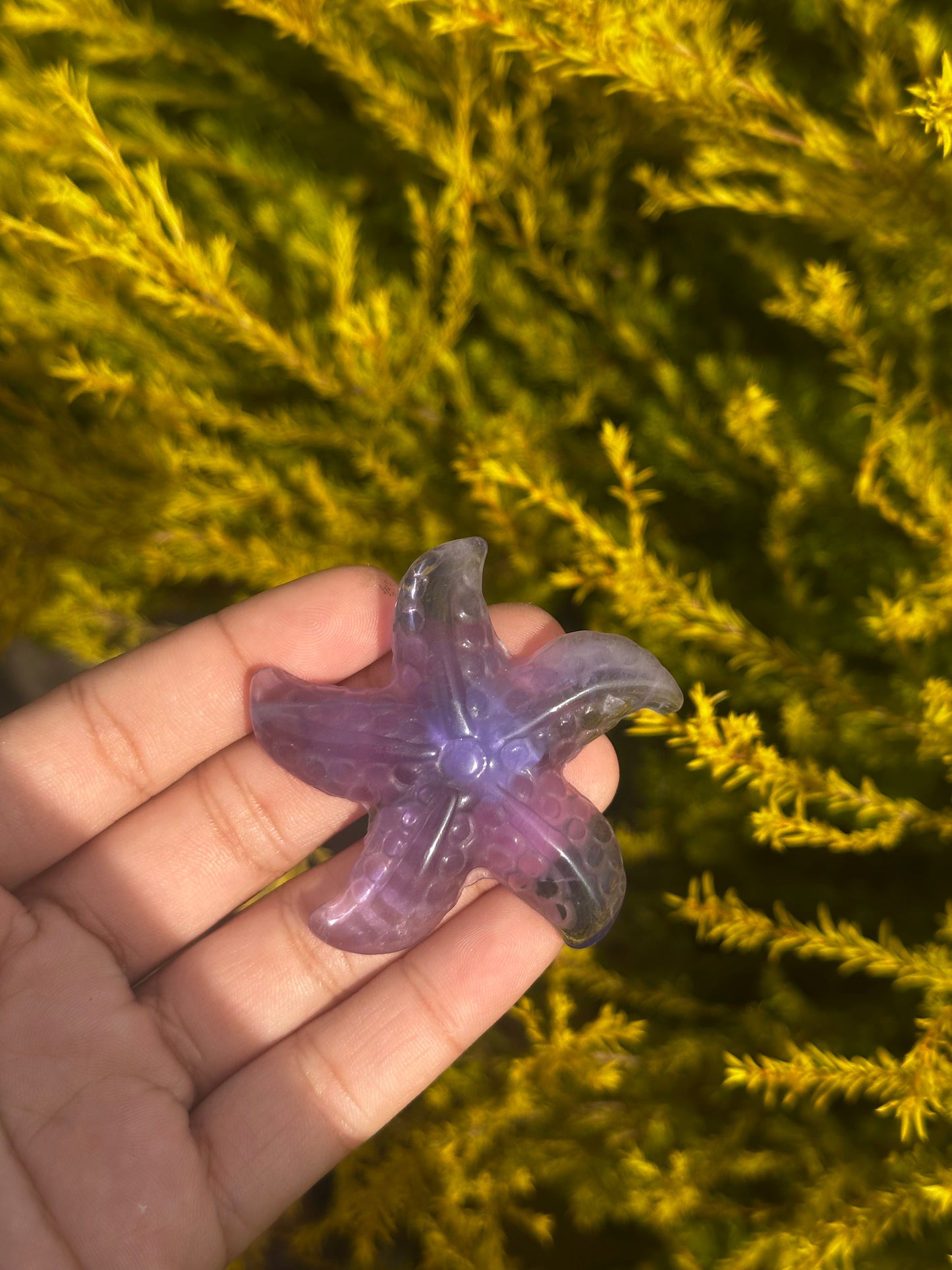 Fluorite starfish