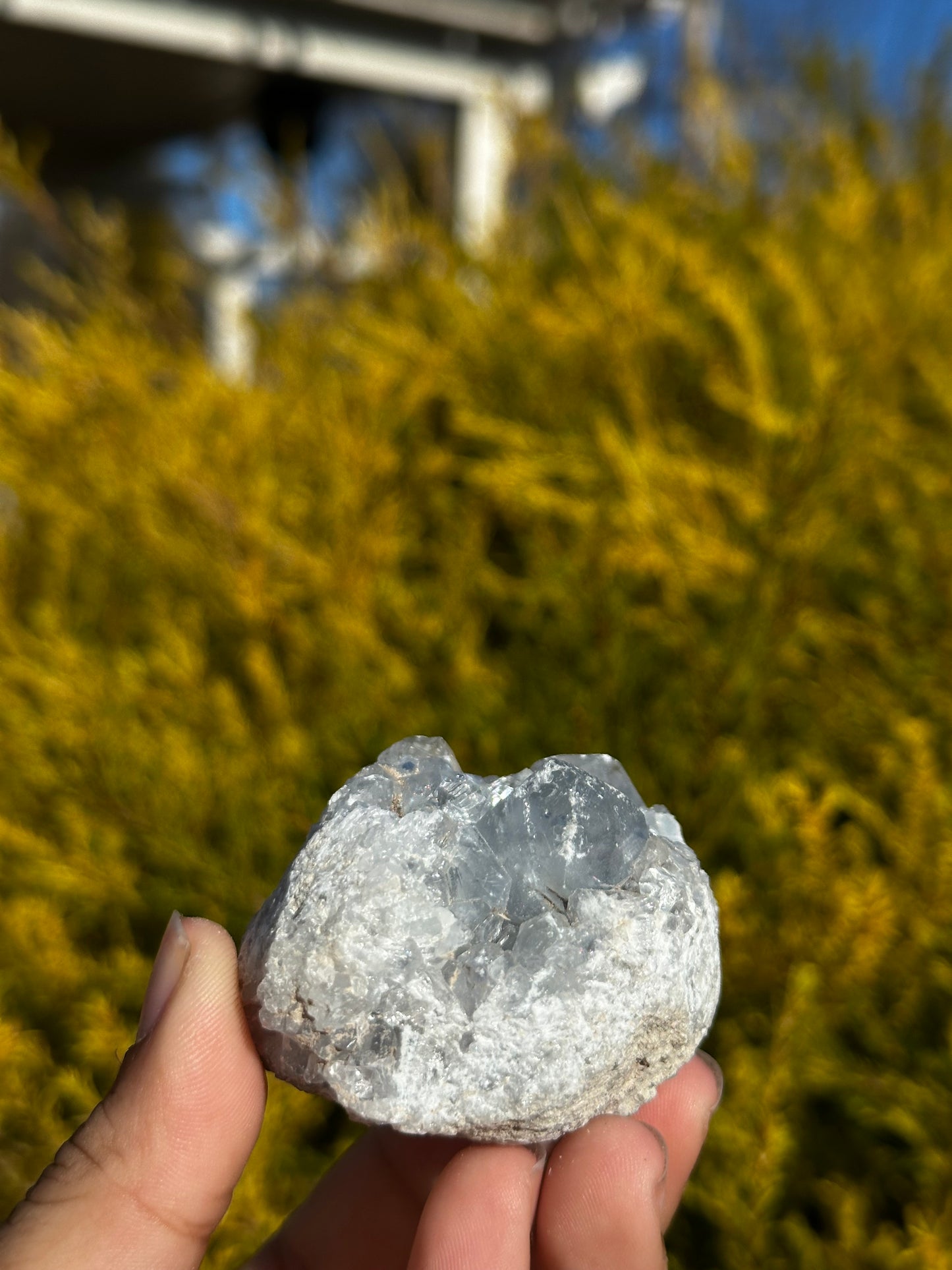 Celesite pieces