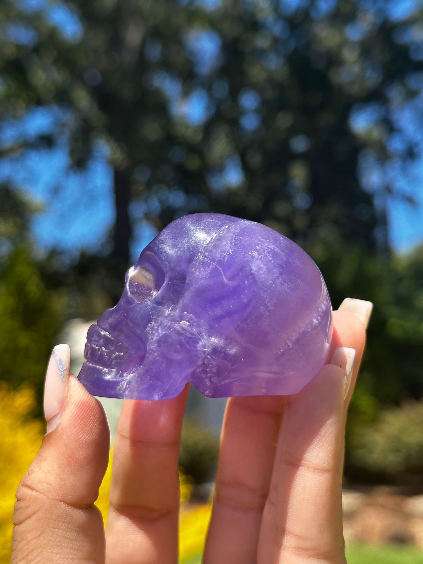 Fluorite Skulls
