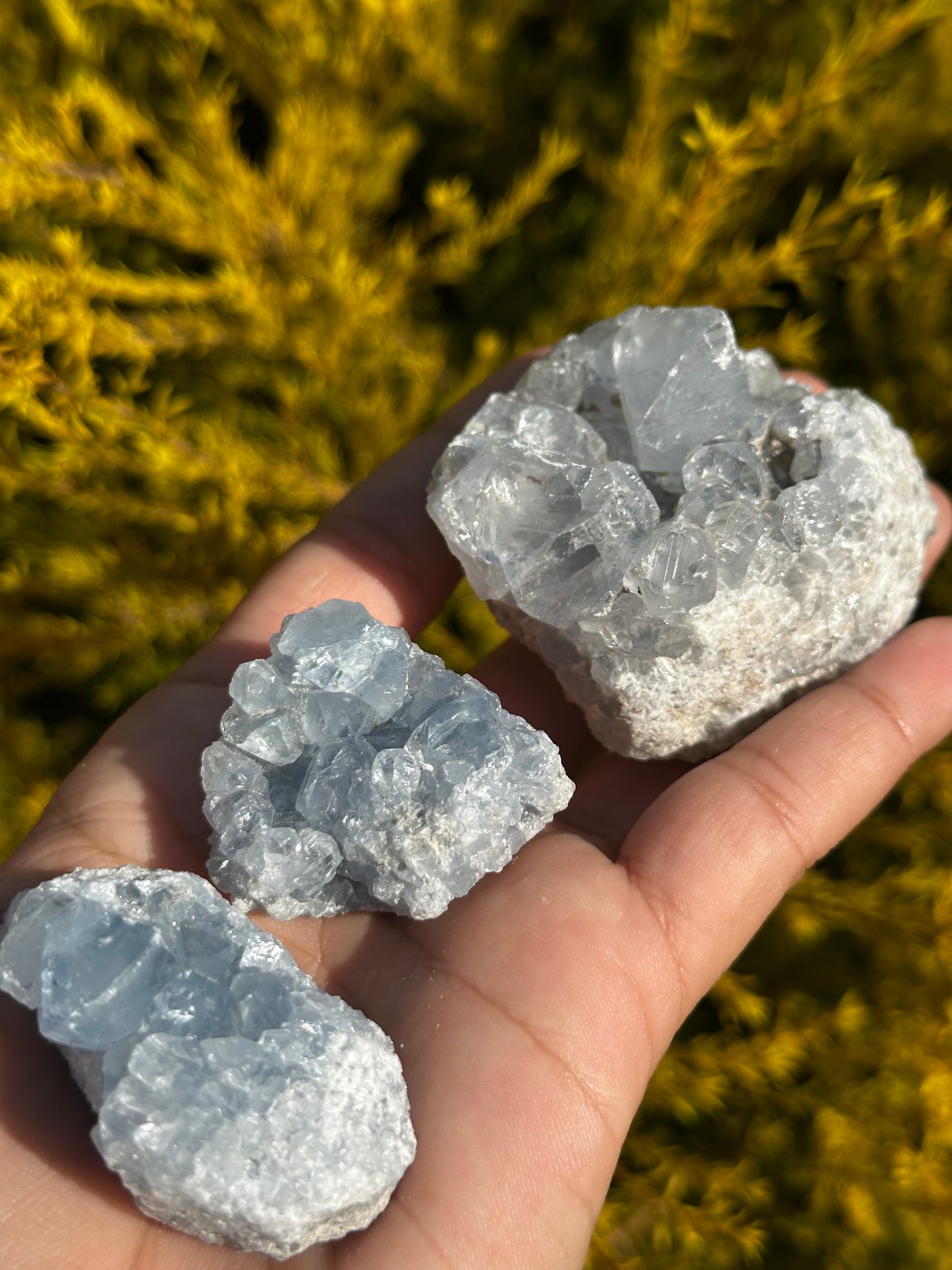 Celesite pieces