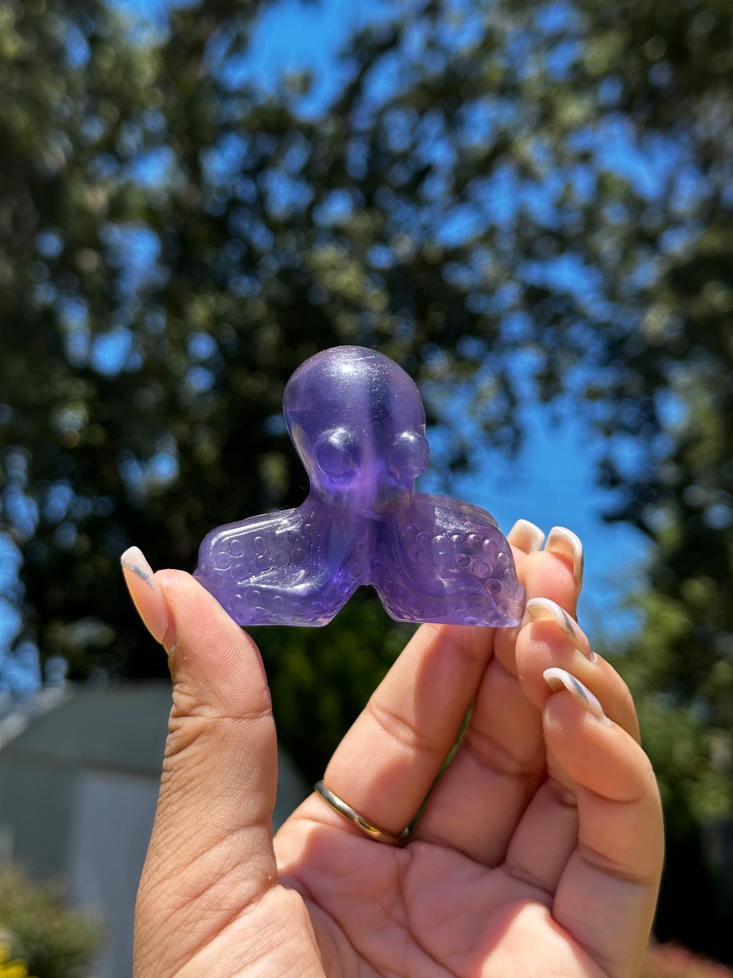 Fluorite octopuses