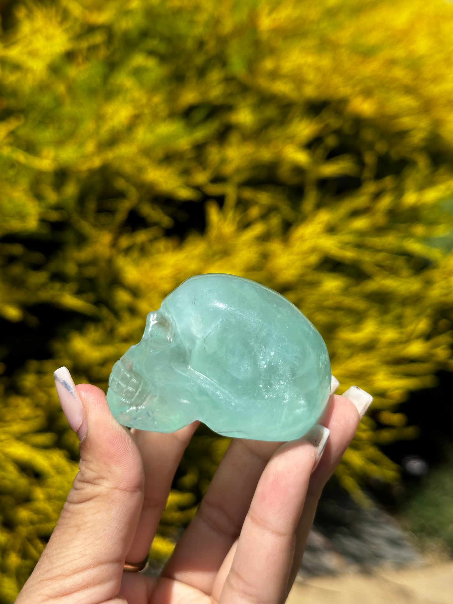 Fluorite Skulls