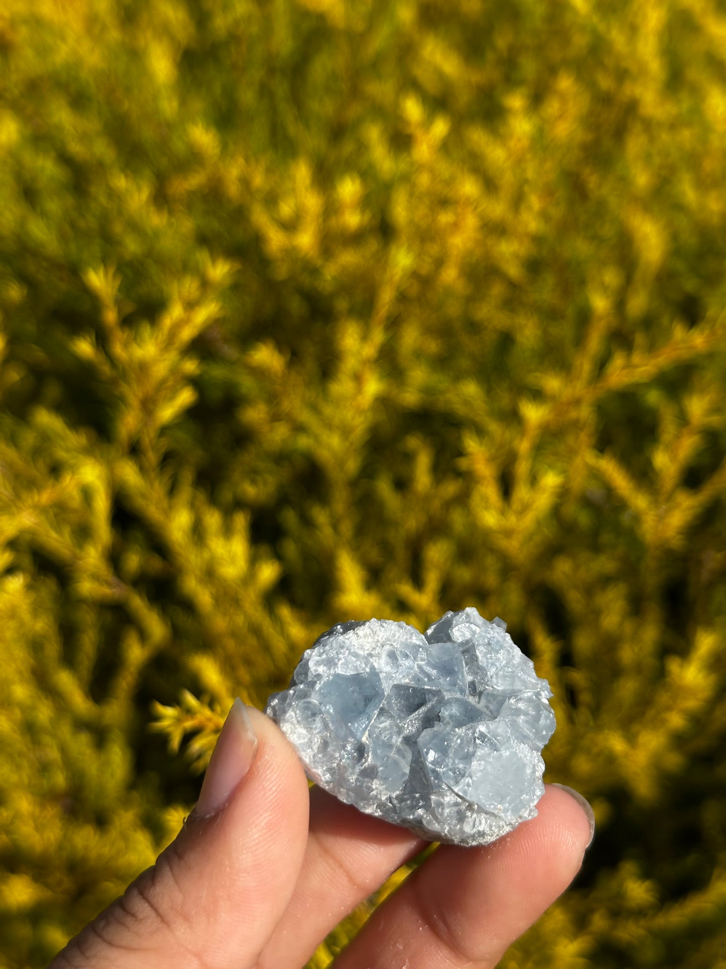 Celesite pieces