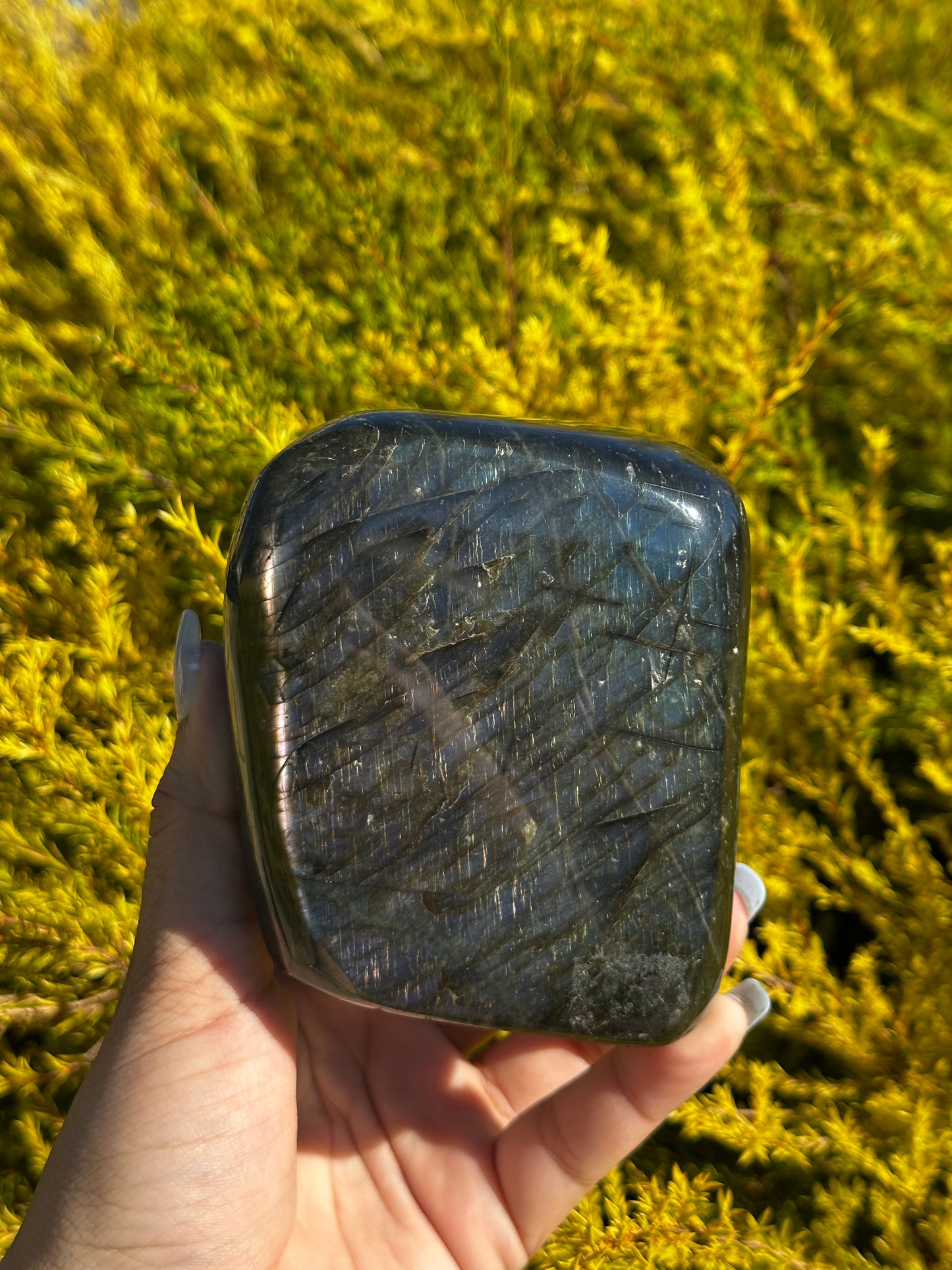 Rainbow Labradorite Dome