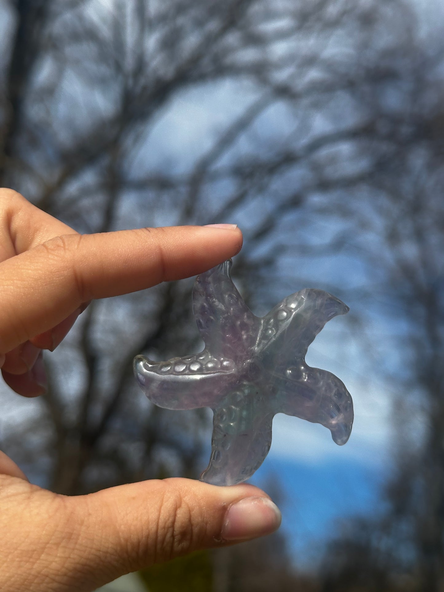 Fluorite starfish
