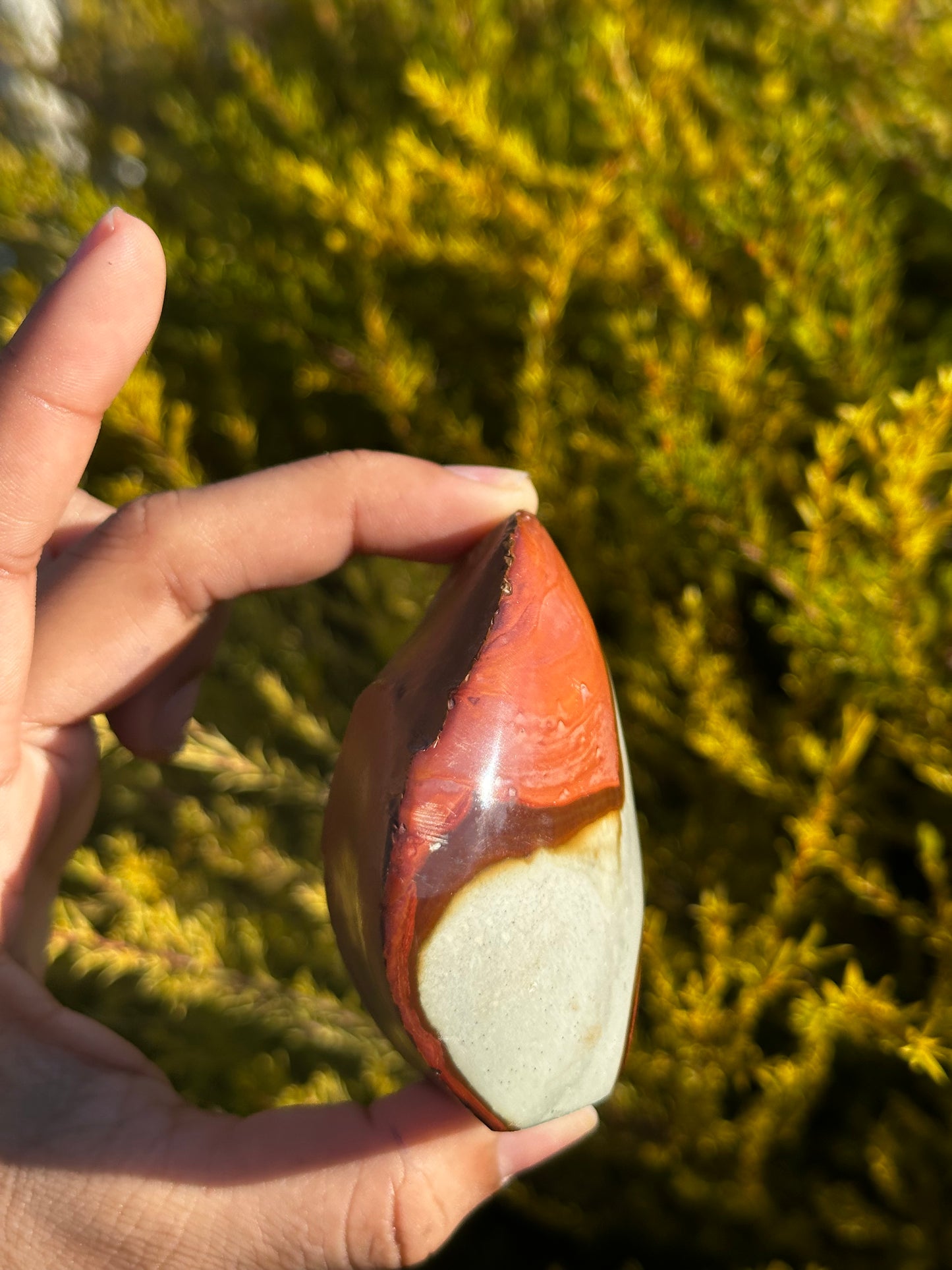 Polychrome Jasper cut base
