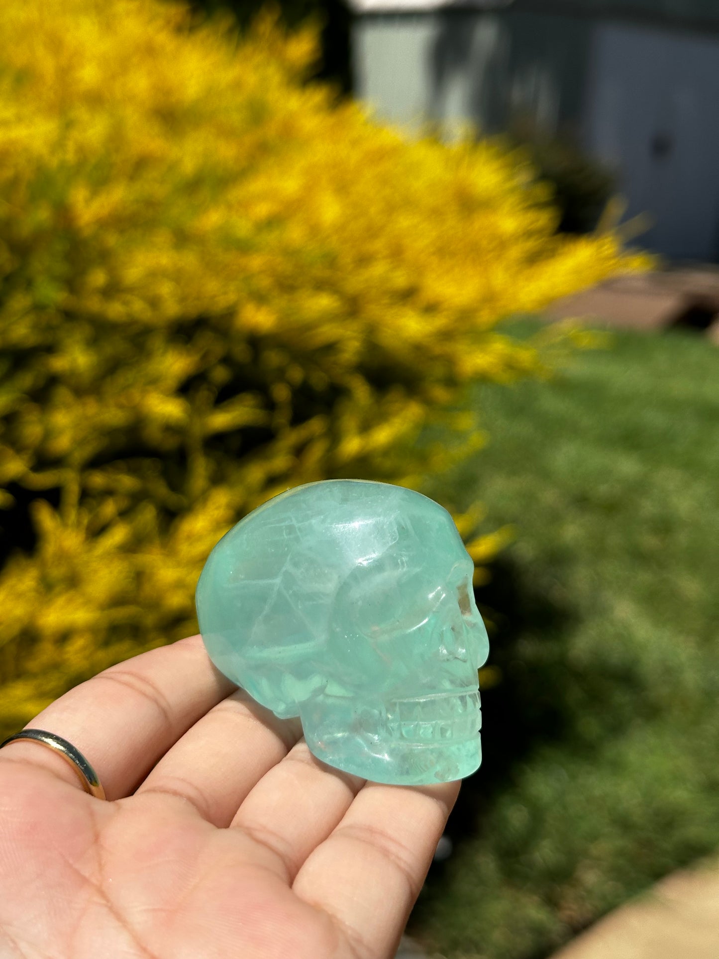 Fluorite Skulls