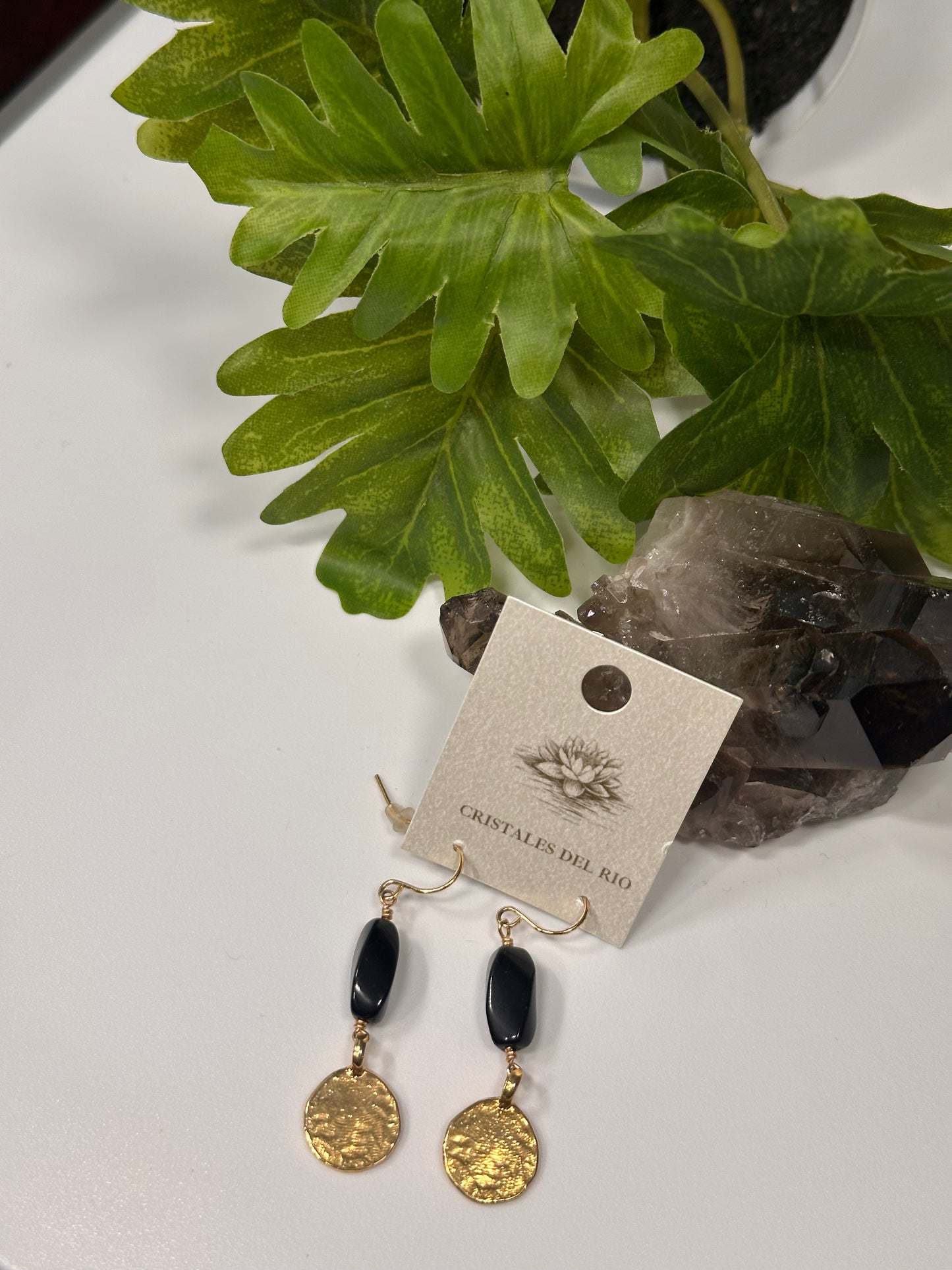 Gold coin Earrings