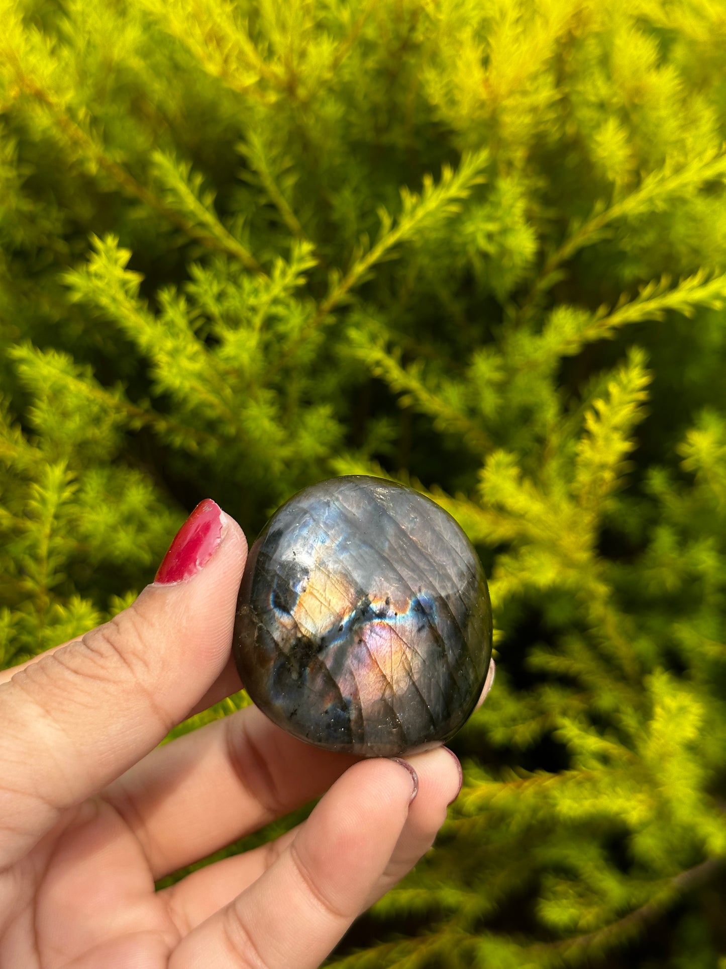 Unique Labradorite palmstone