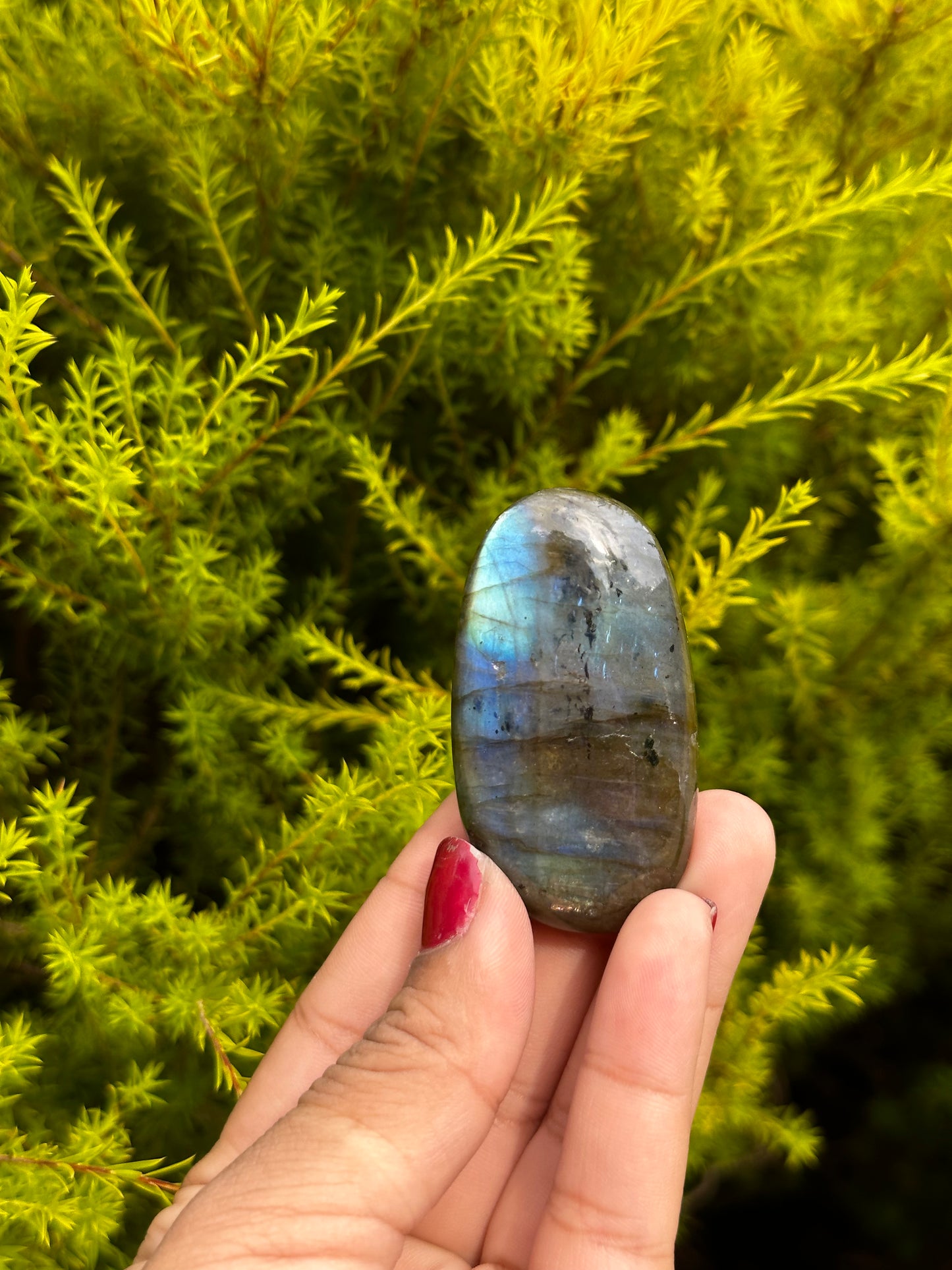 Unique Labradorite palmstone