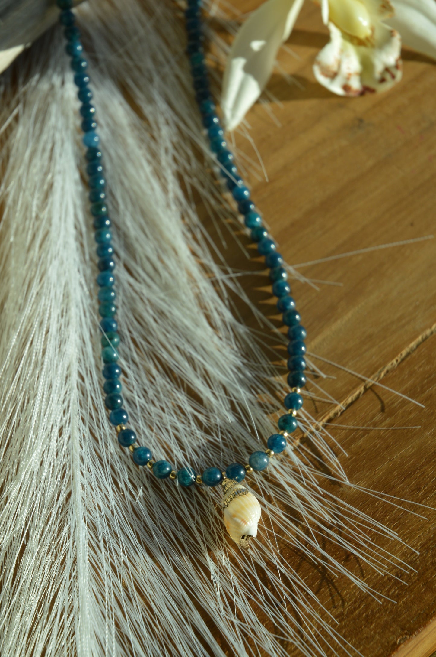 Shelly Seashell Necklace