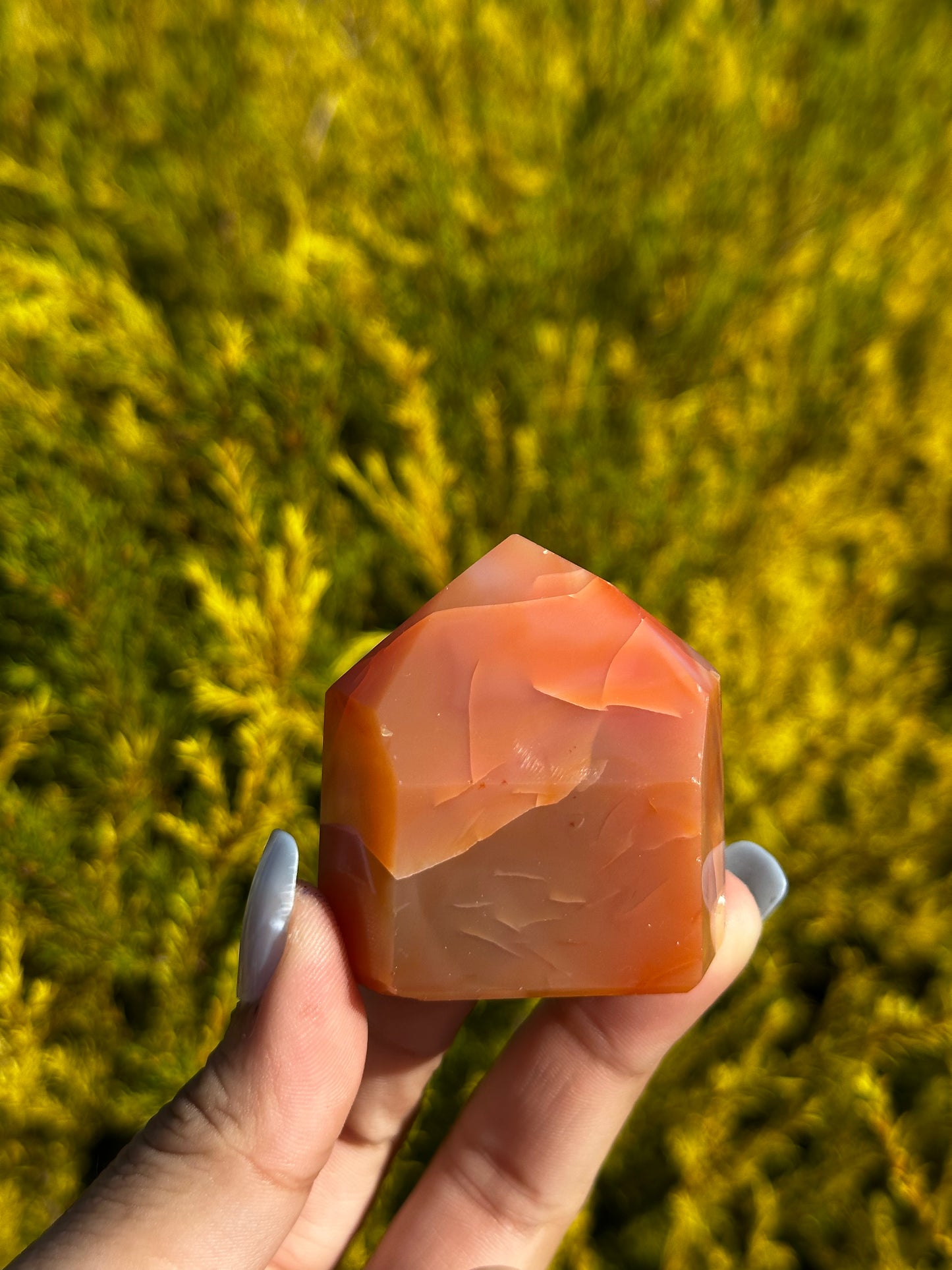 Small Carnelian towers
