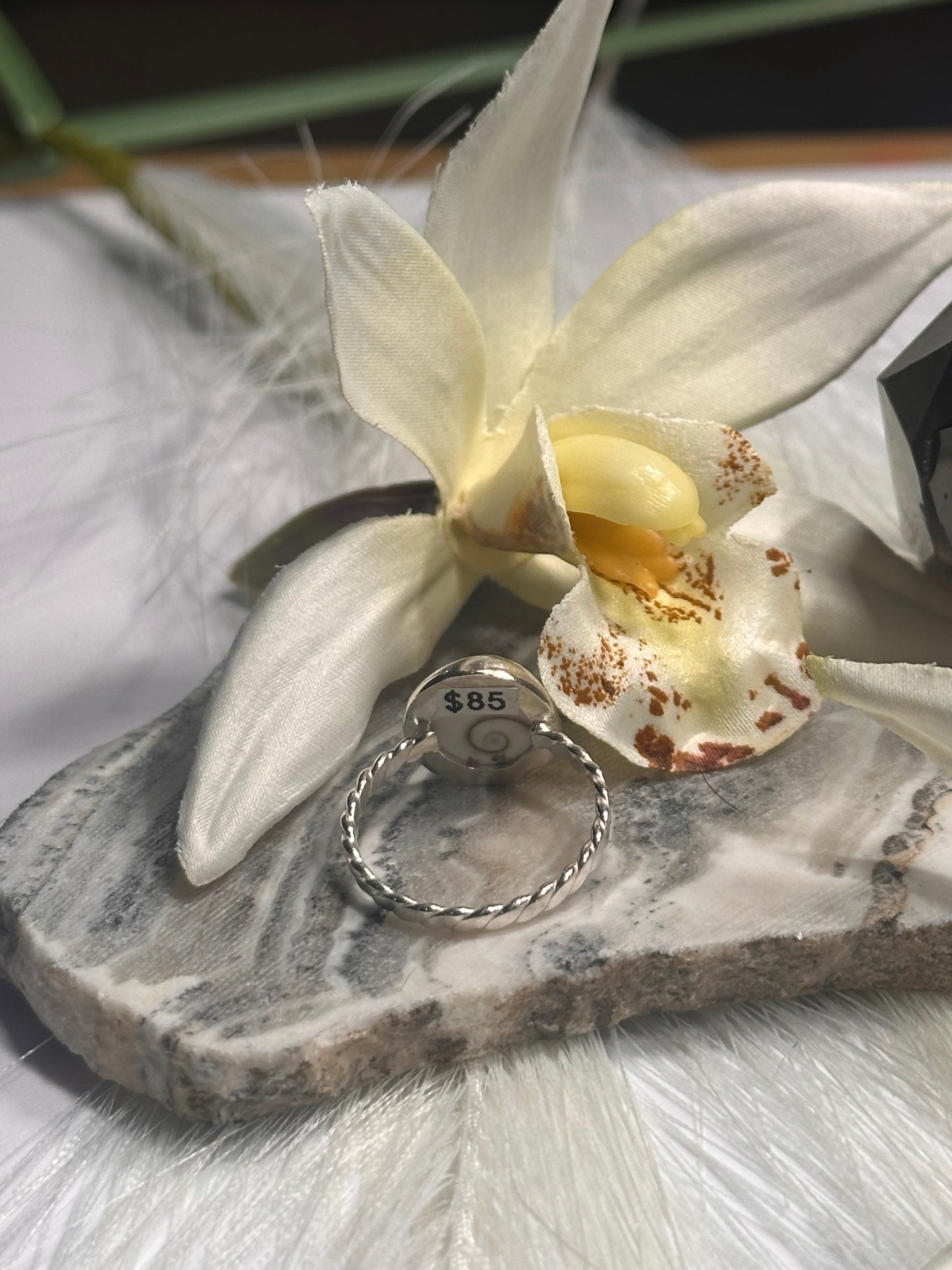 Operculum Shell Ring - Sz 7.75
