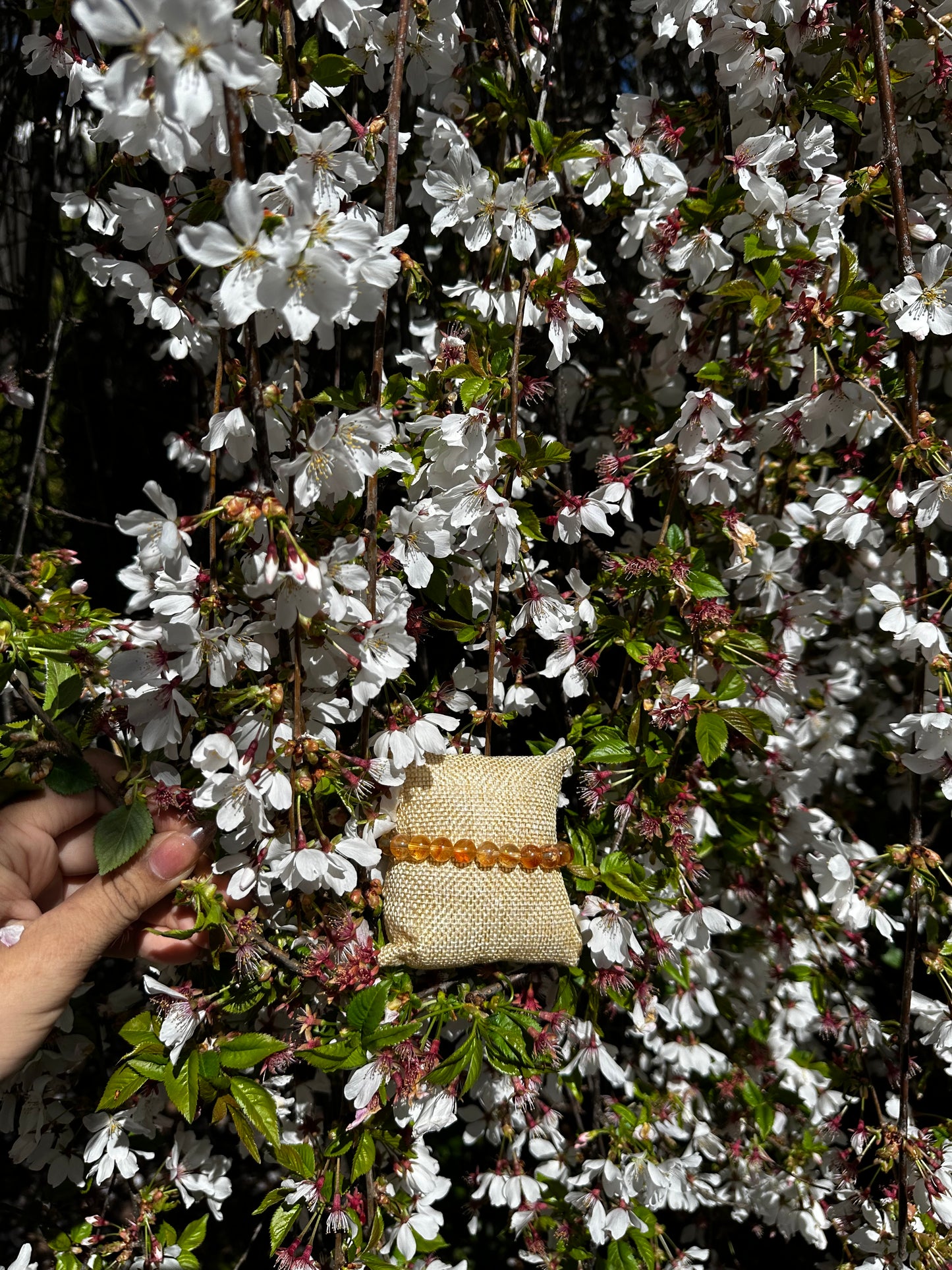 Citrine beaded bracelet