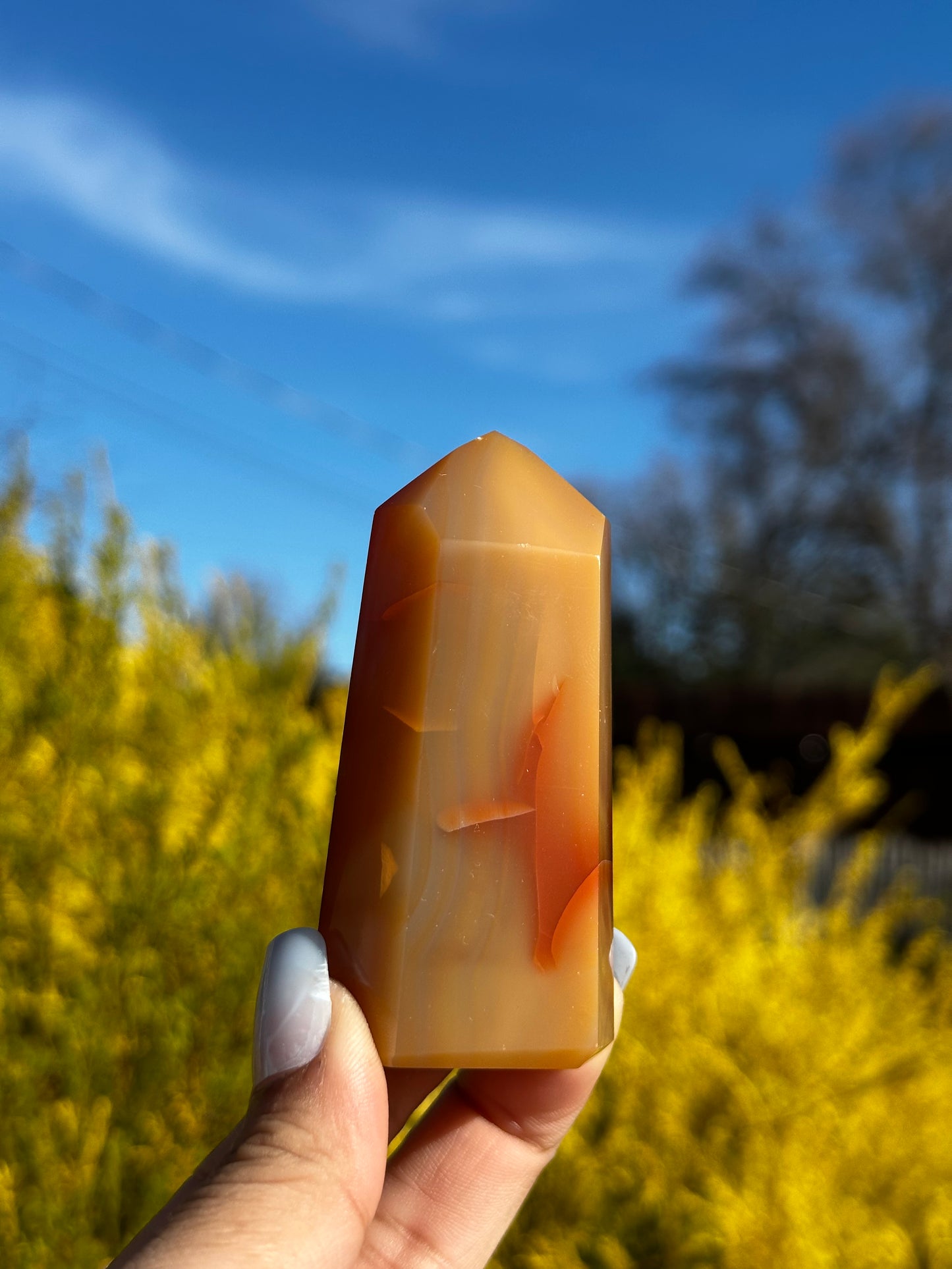 Carnelian tower