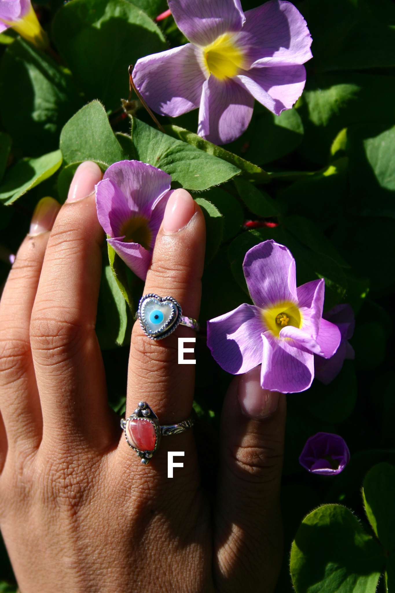 Spring Rings - Sz 5.5 & 9