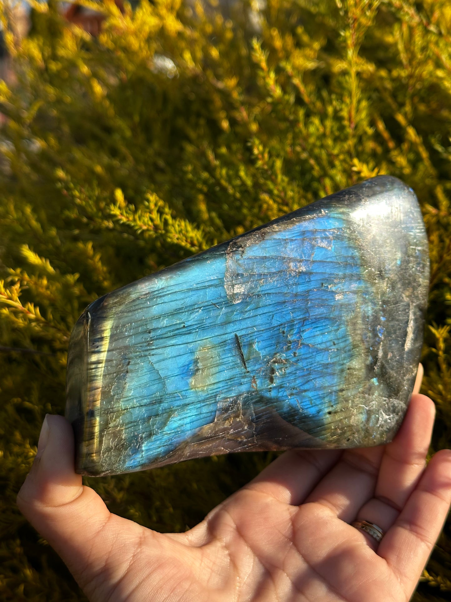 Labradorite statement piece
