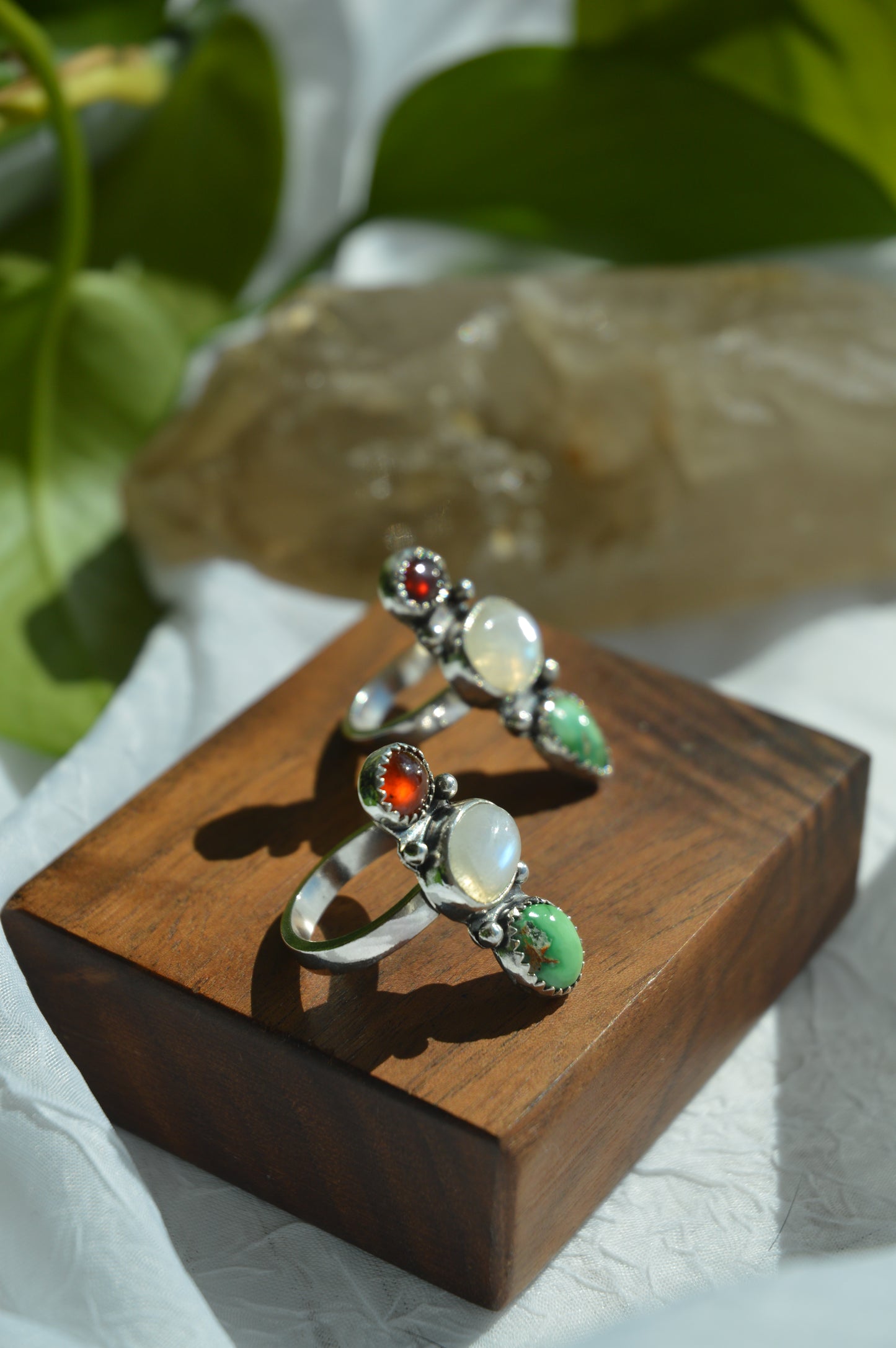 California’s Desert Seaside Rings