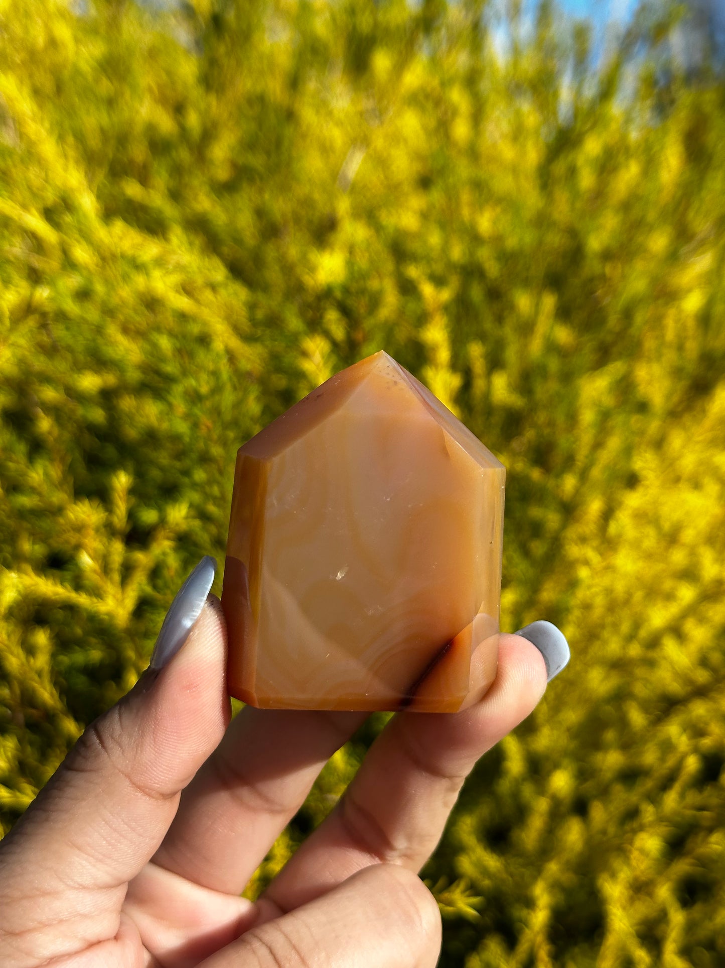 Small Carnelian towers