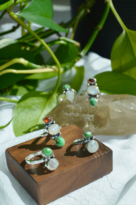 California’s Desert Seaside Rings