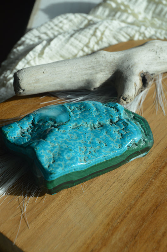 Large Malacholla Chunks