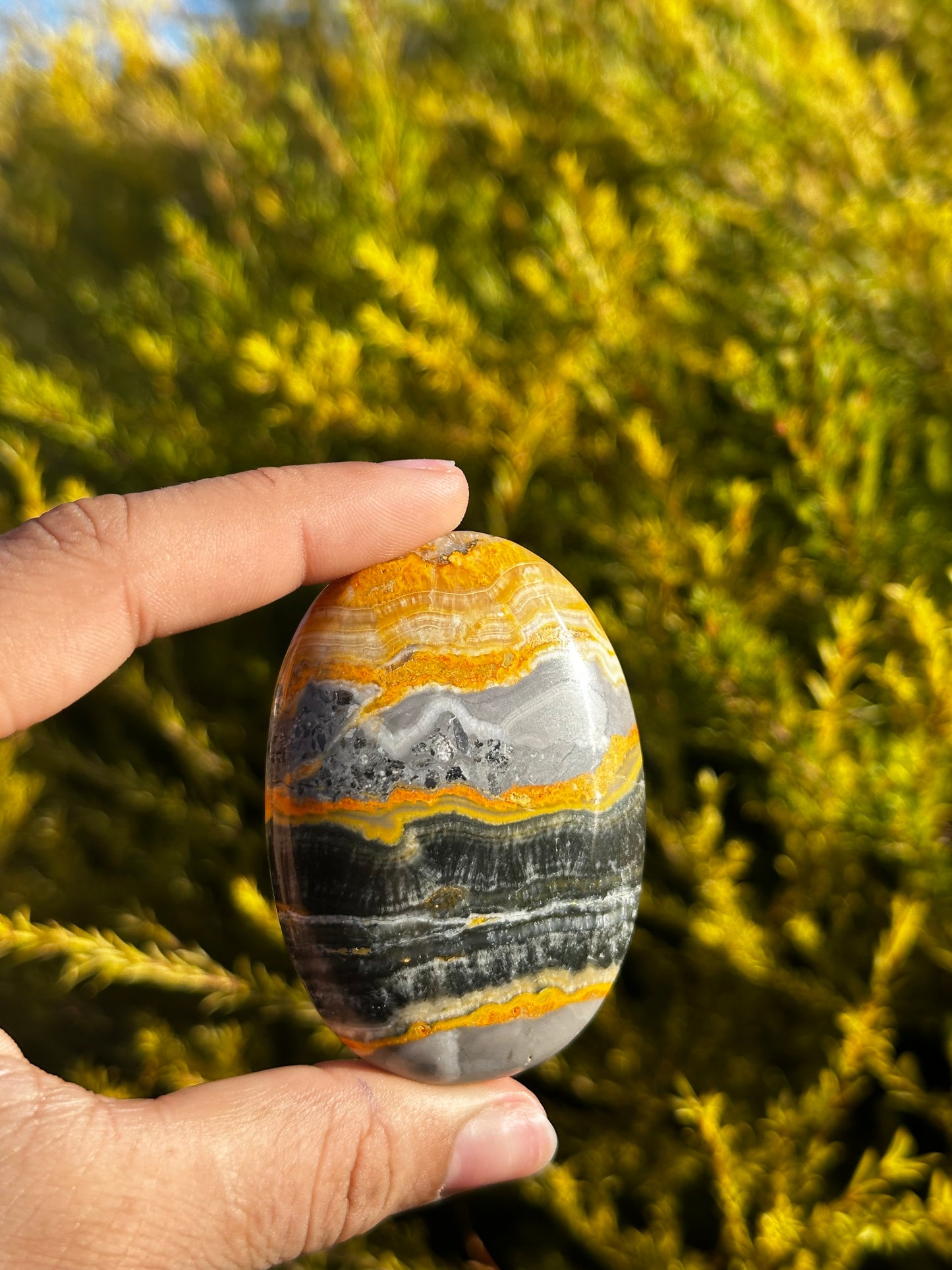 Bumblebee Jasper palmstone
