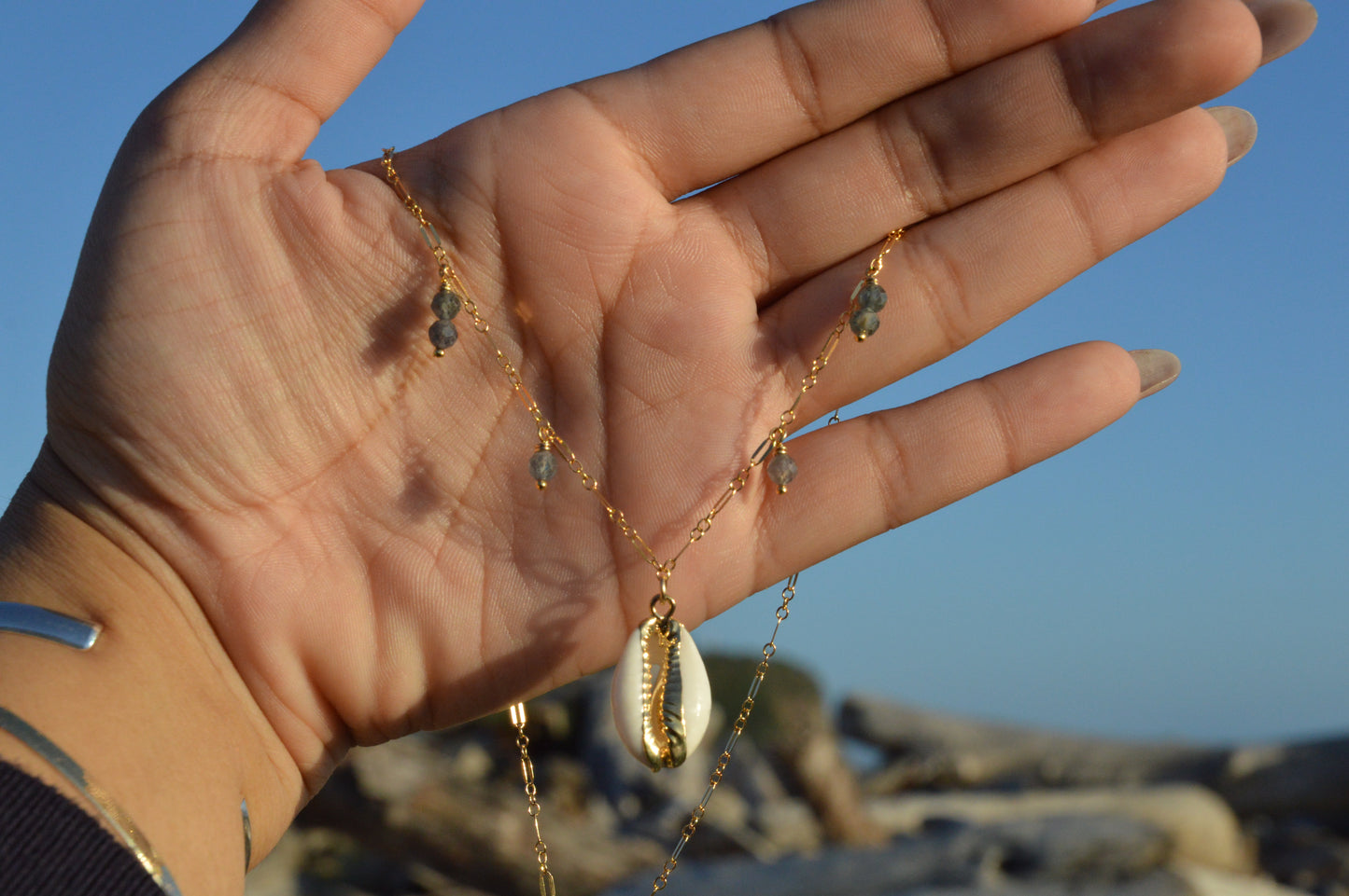Cowrie Whispers Chain Necklaces