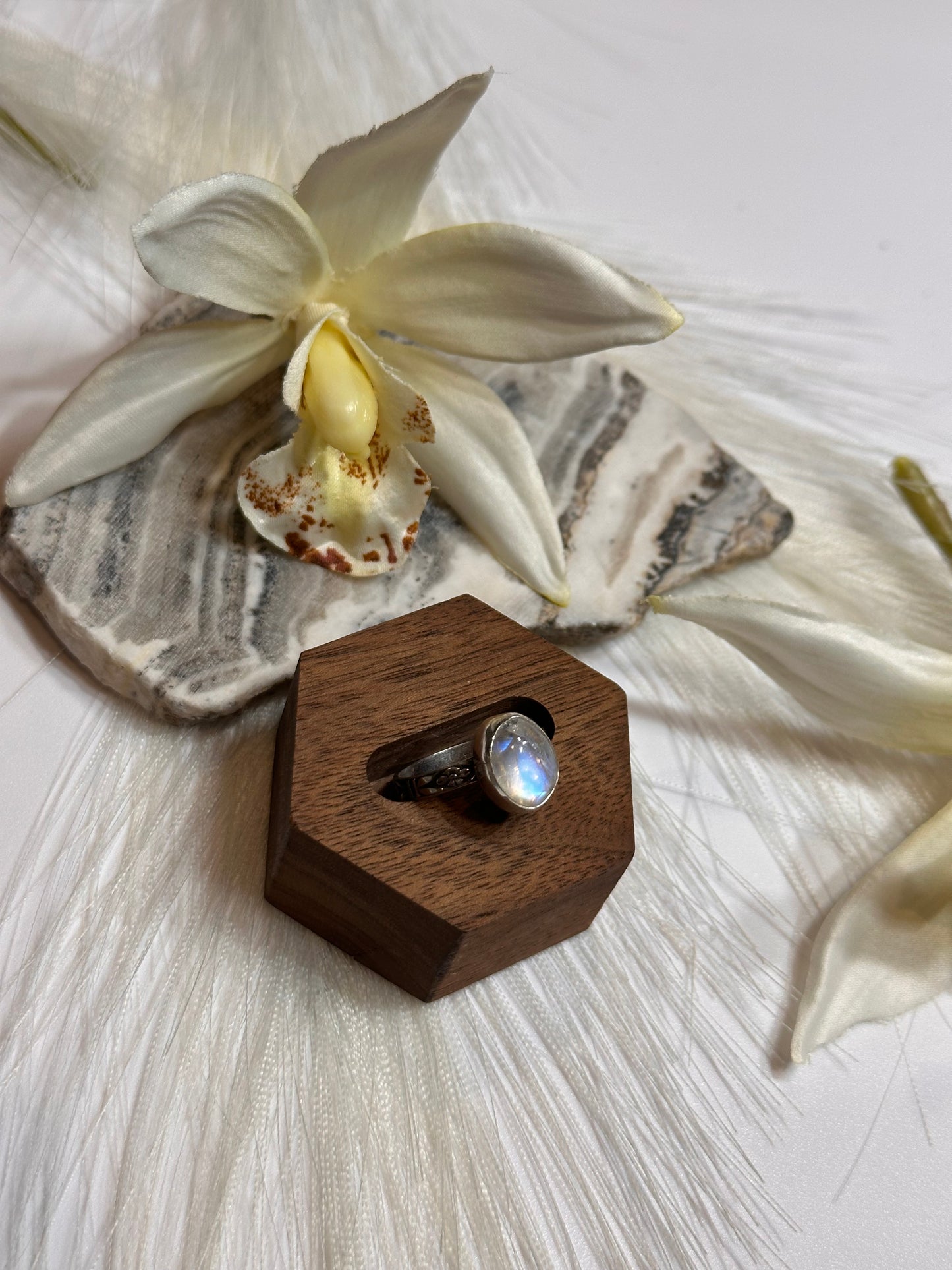 Aurora Astraluis Rings (Moonstone) - Sz 7
