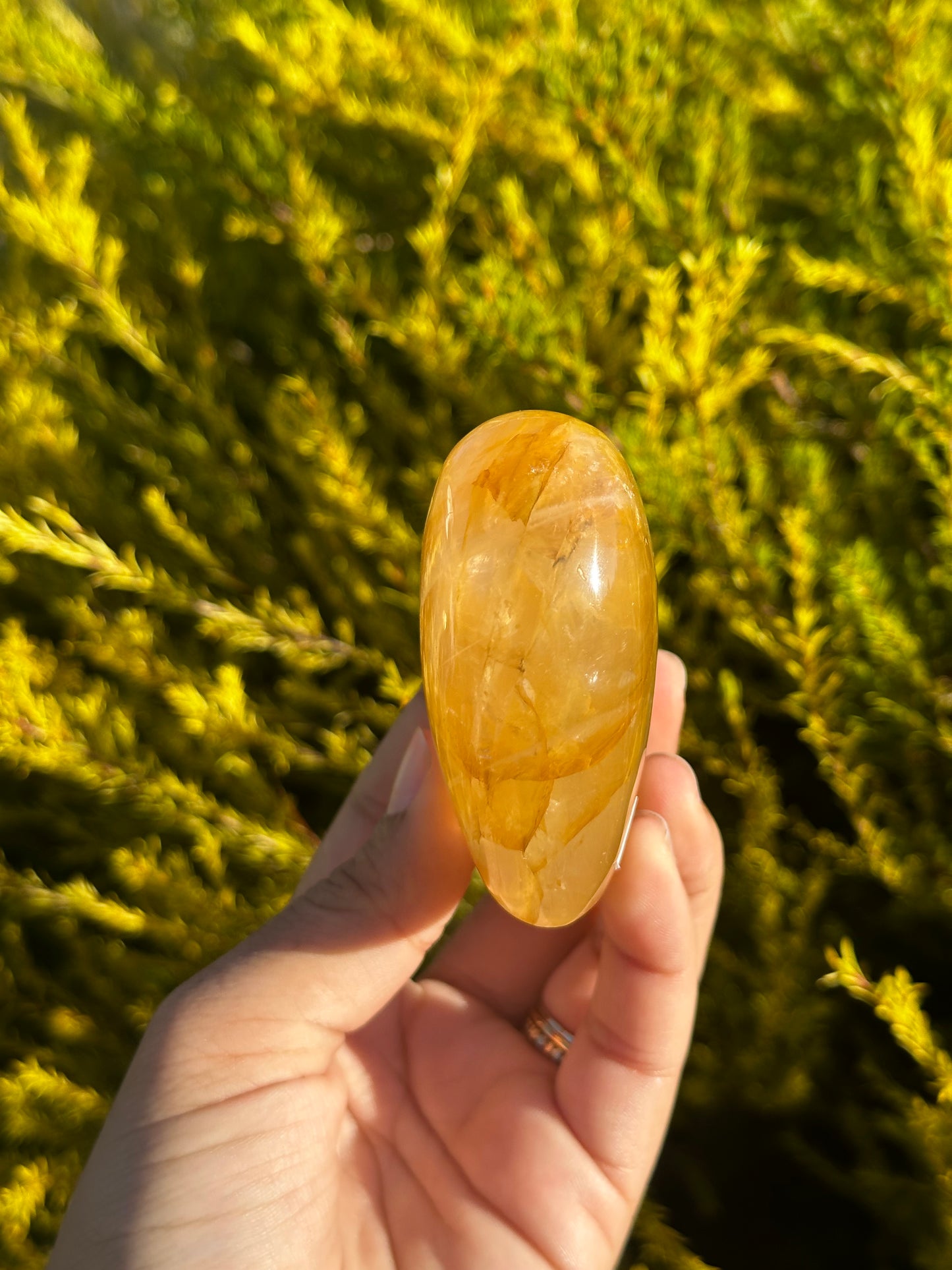 Golden Healer heart