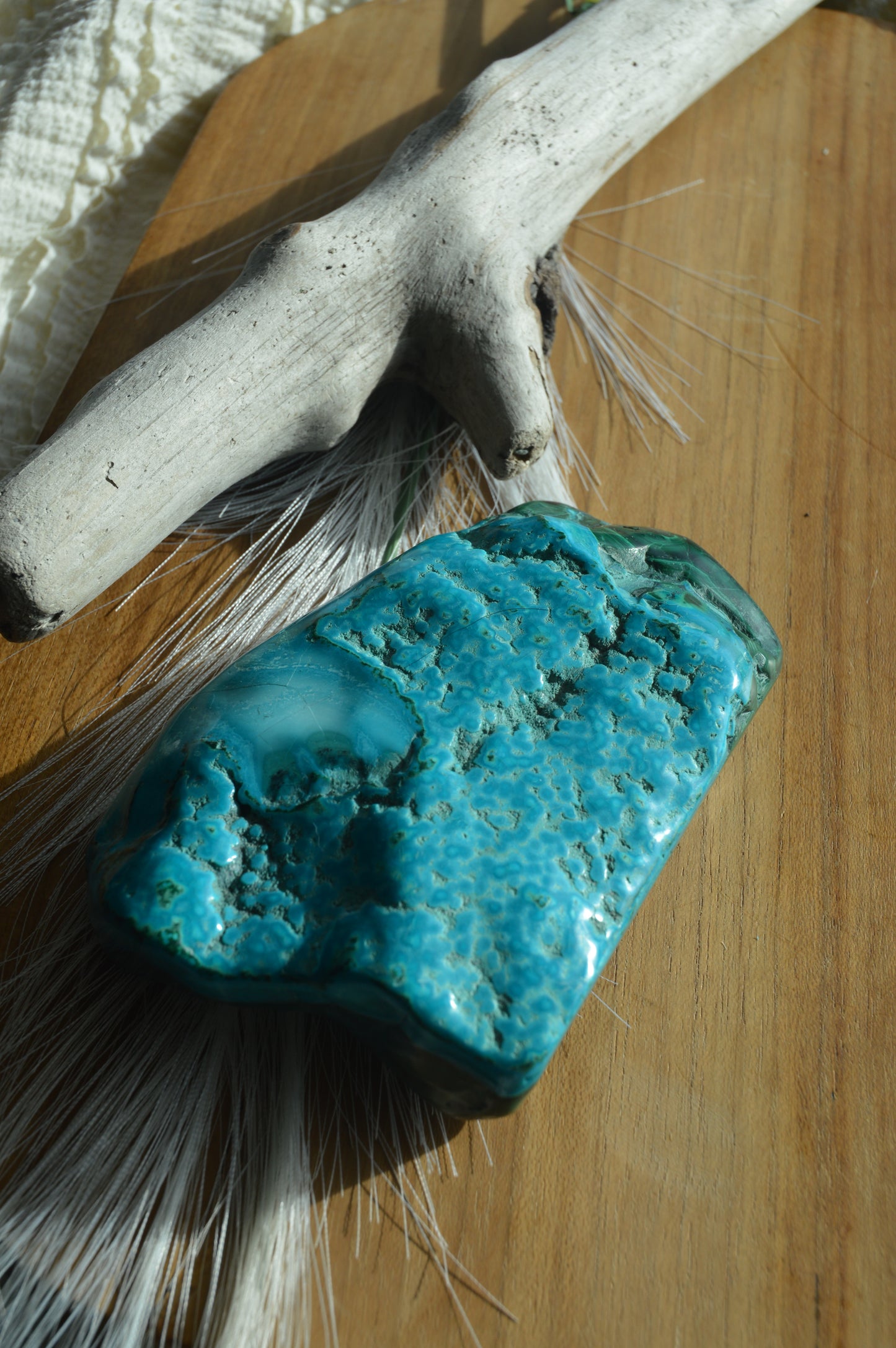 Large Malacholla Chunks