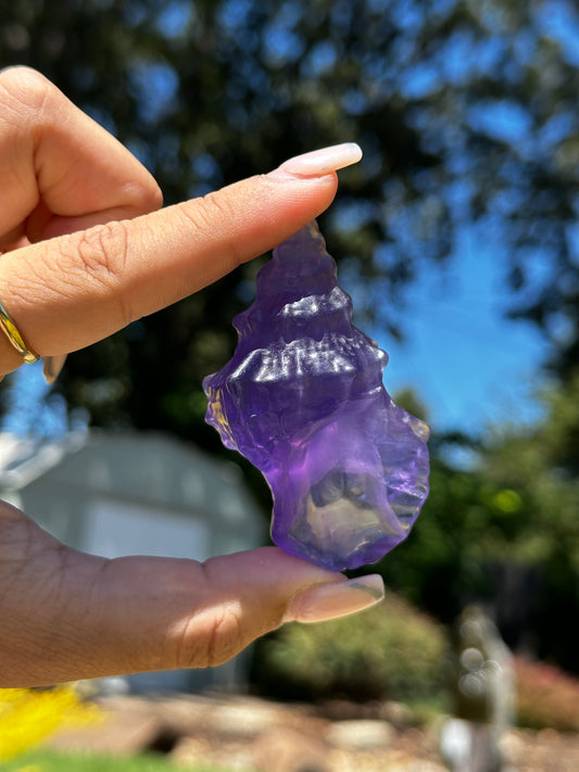 Fluorite conch shells
