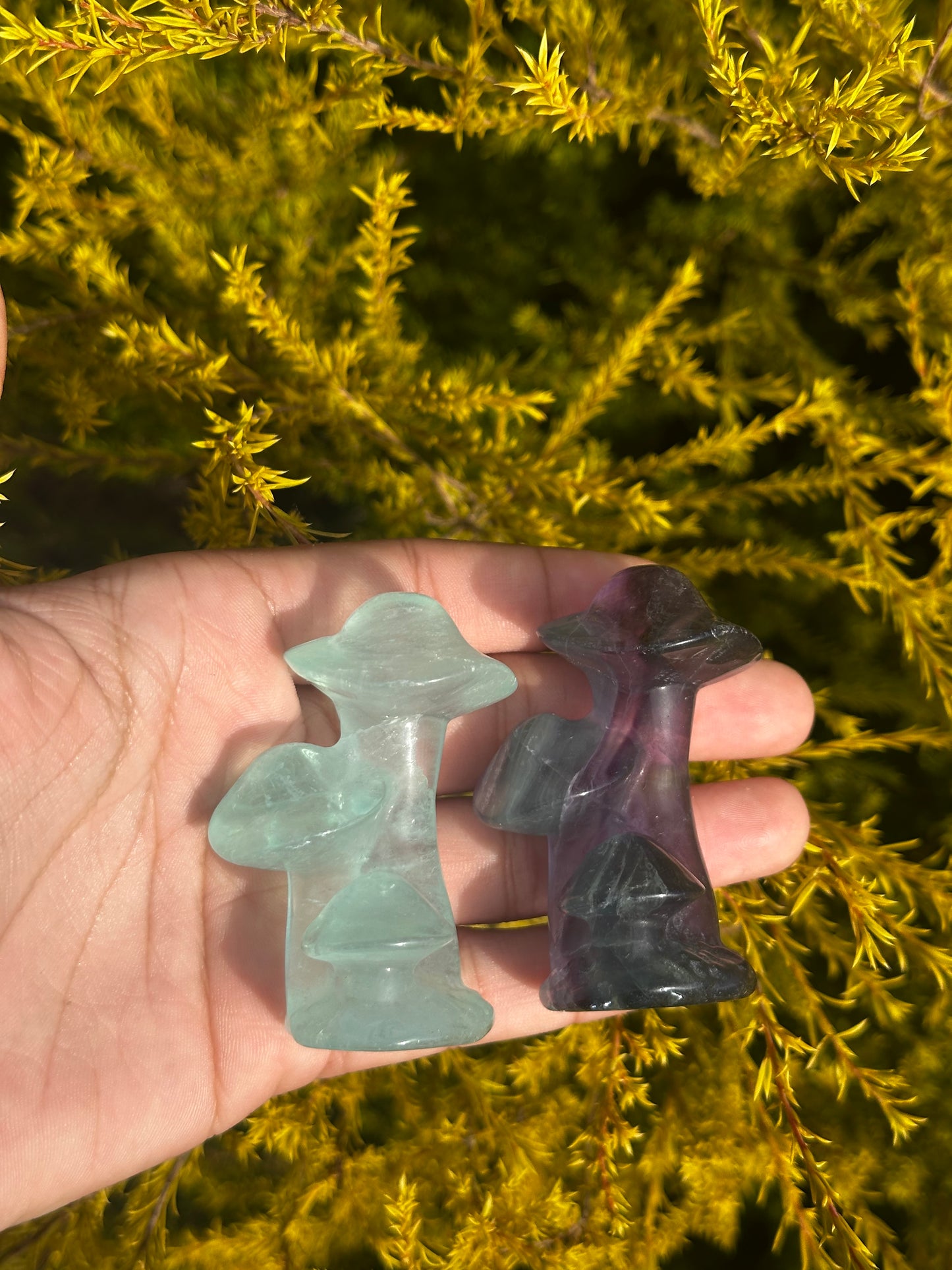 Fluorite mushrooms