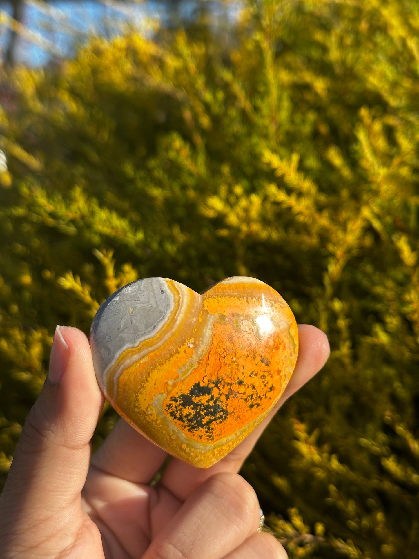 Bumblebee Jasper heart