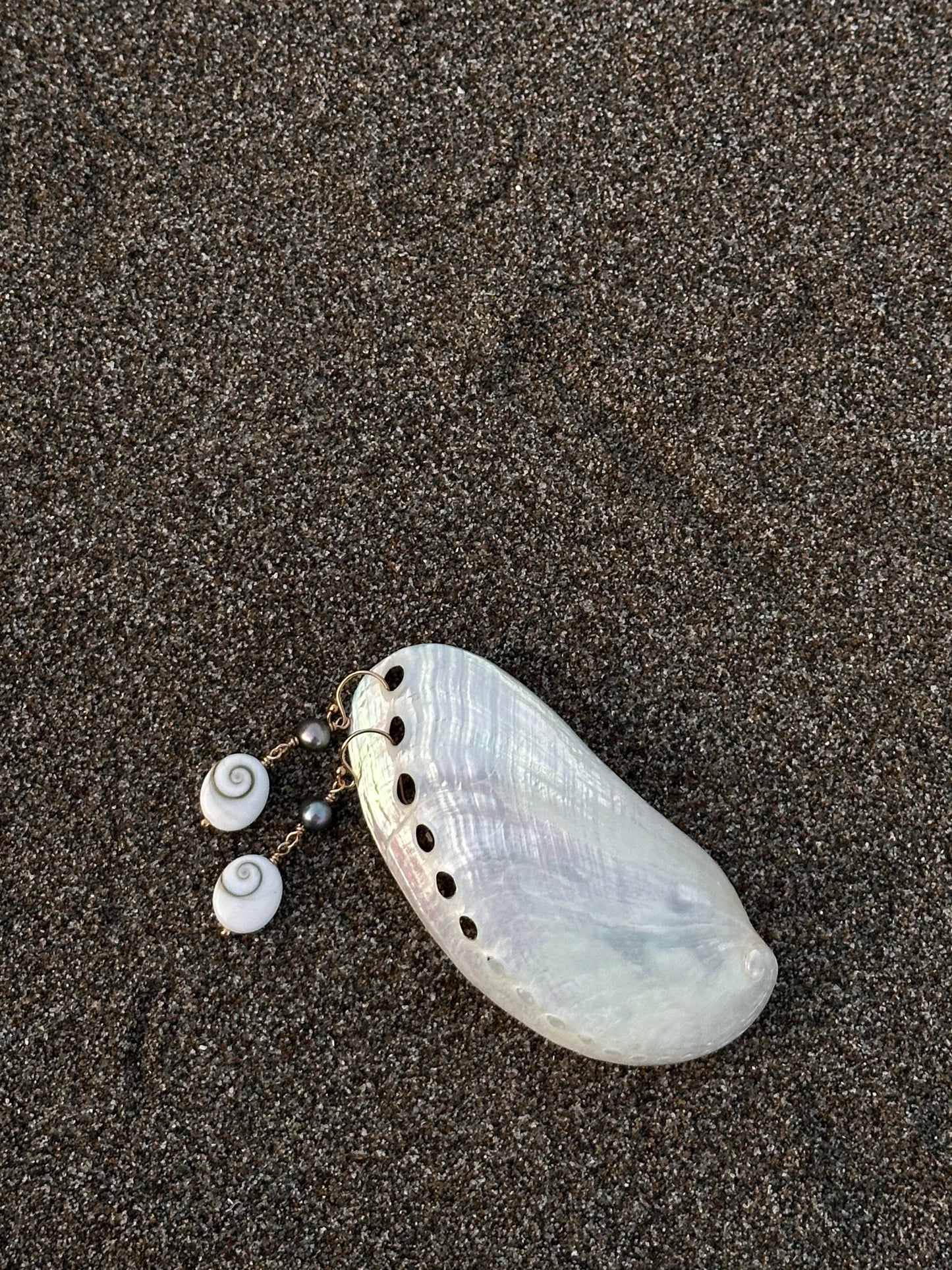 Shell Cove Earrings