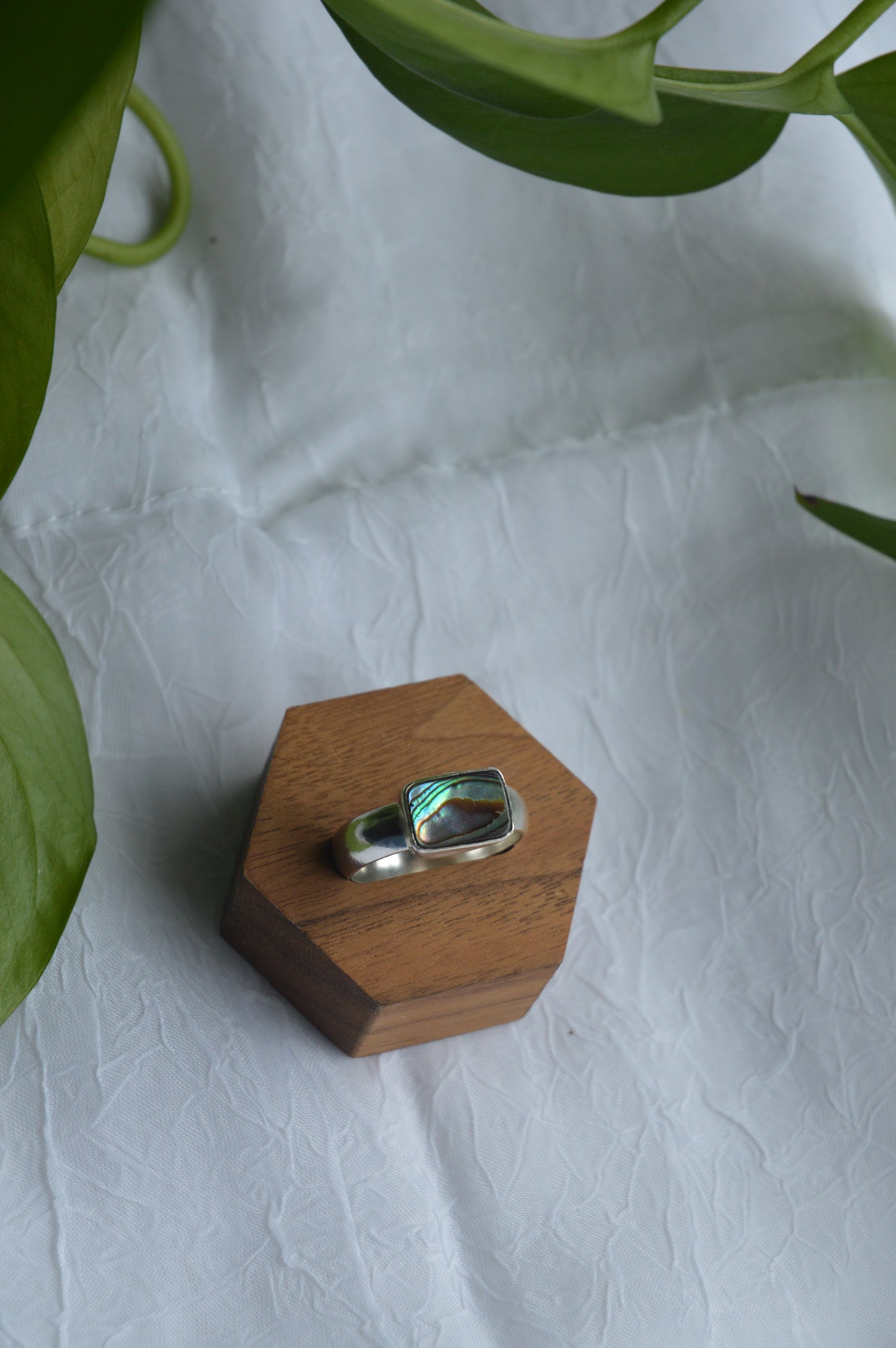 Abalone Thick Band Rings - Sz 6 + 11
