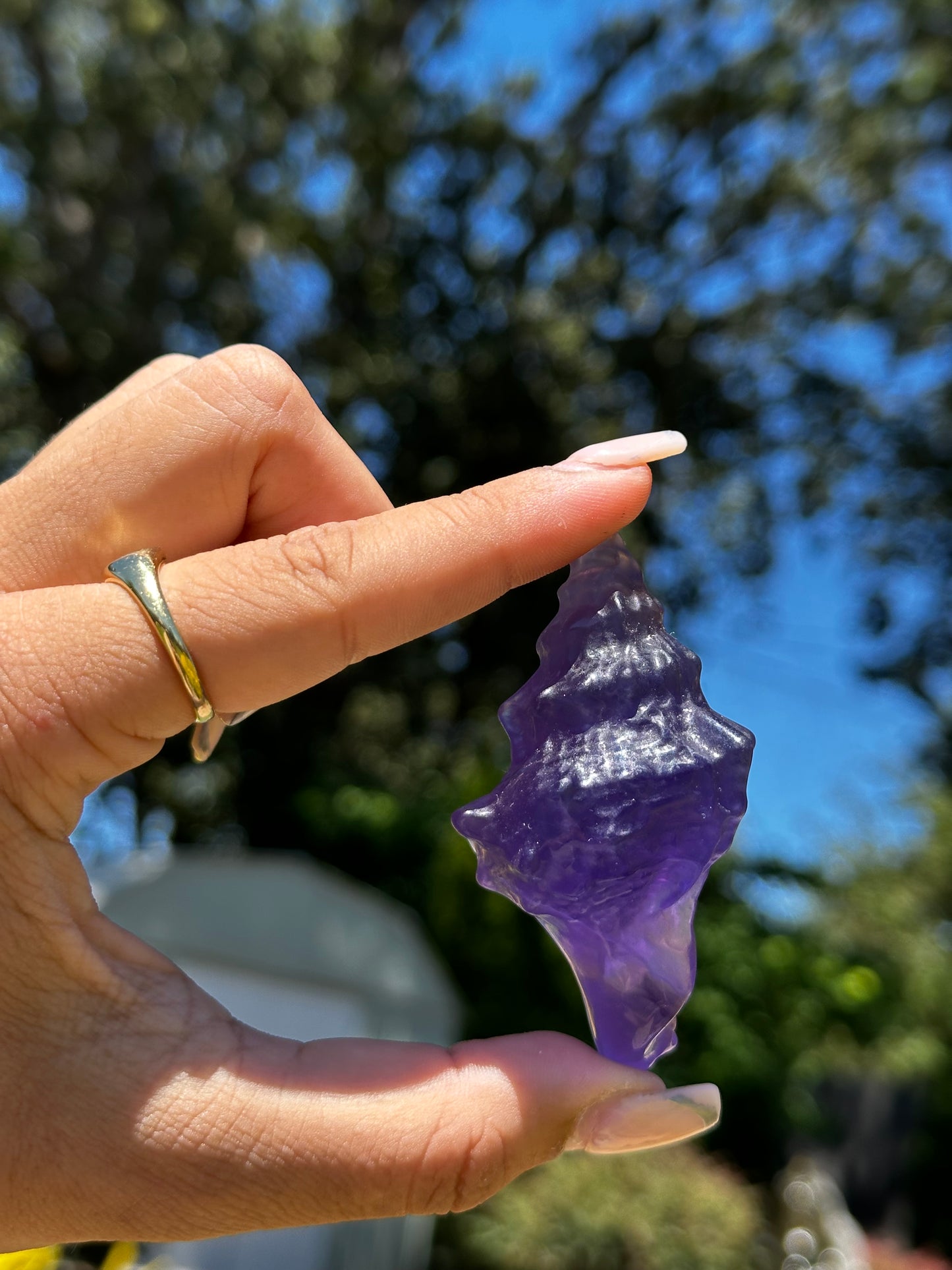 Fluorite conch shells