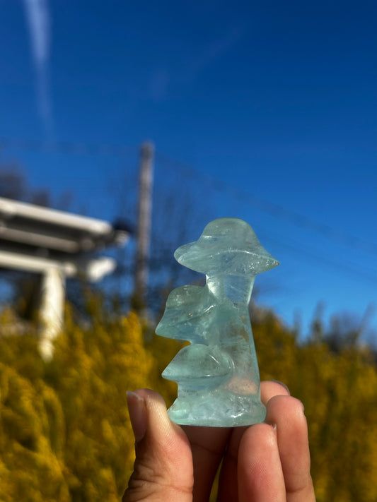 Fluorite mushrooms