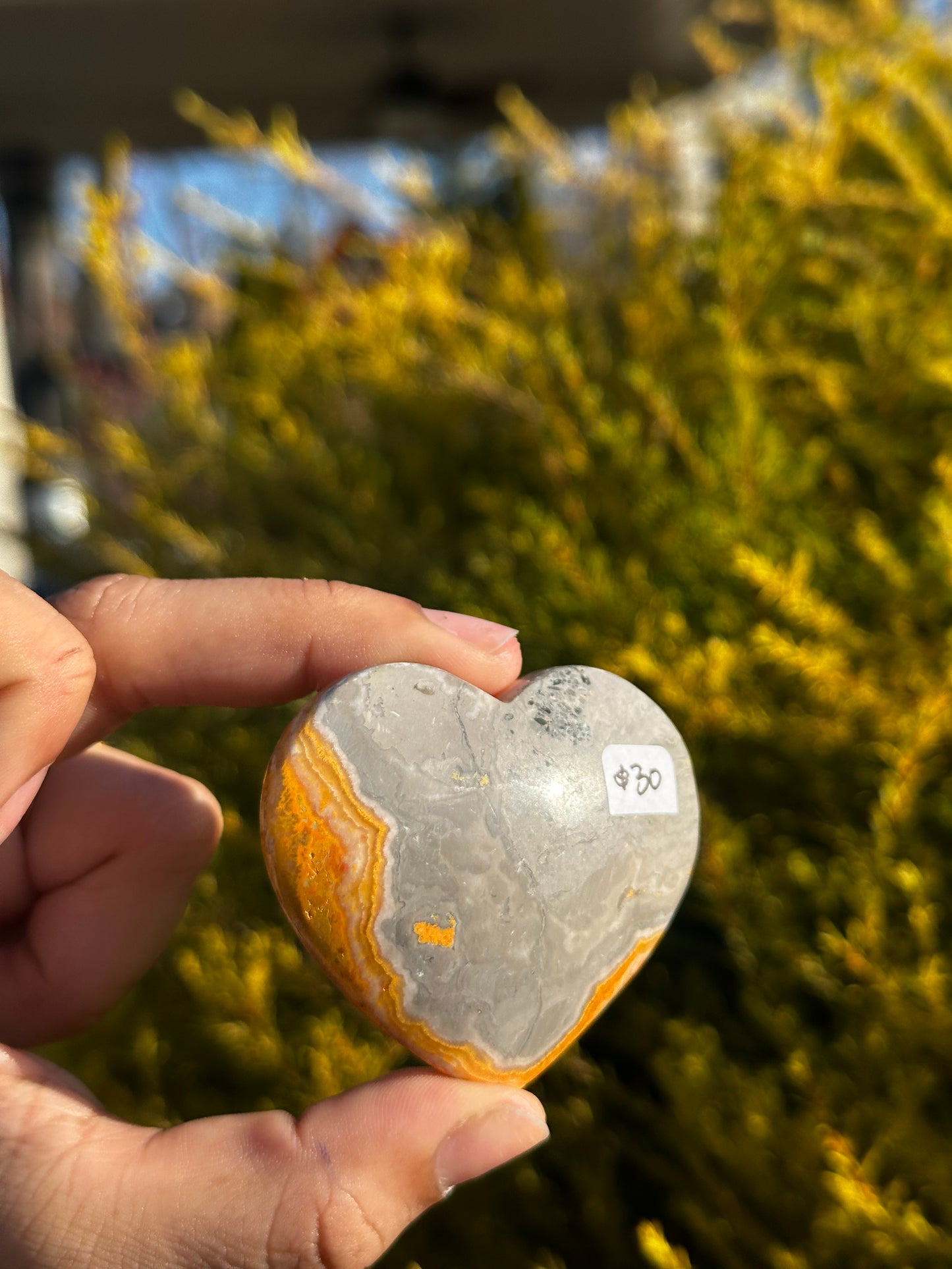 Bumblebee Jasper heart